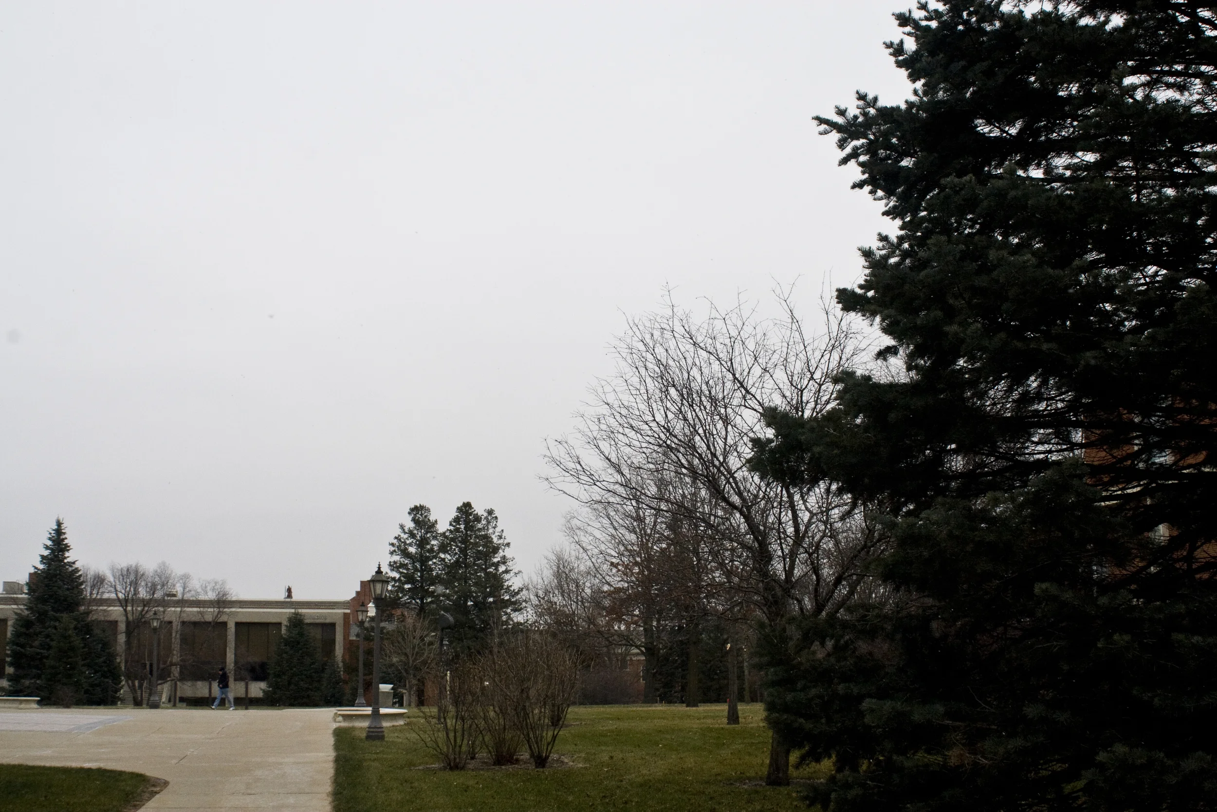 Stratus_IMG_8883_30D_WEB.jpg