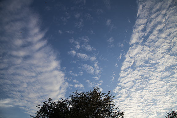 Altocumulus forming in bands. The different cloud shapes are caused by differences in the air motions forming each band. Photo by Craig Johnson at Cedar Falls, Iowa.