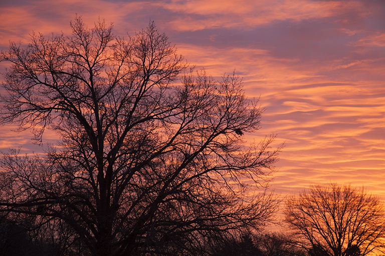 PHoto copyright 2016 by Craig Johnson. Photo taken December 30, 2016.
