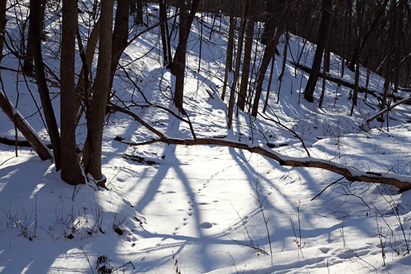 Hartman Reserve, Cedar Falls, Iowa; Photo by Craig Johnson