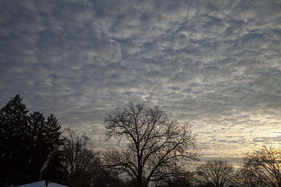 Altocumulus stratiformis at Sunrise