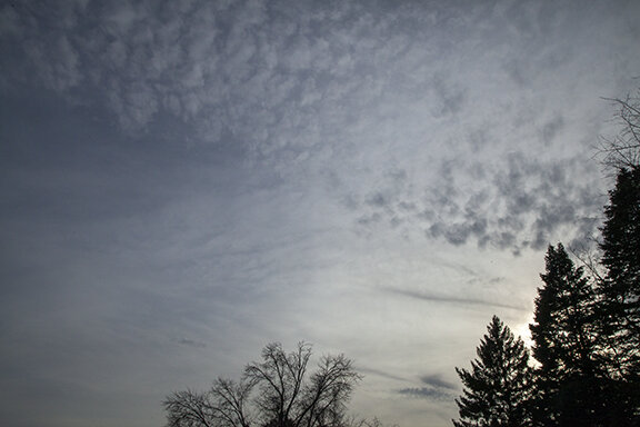 Altocumulus floccus below Altostratus