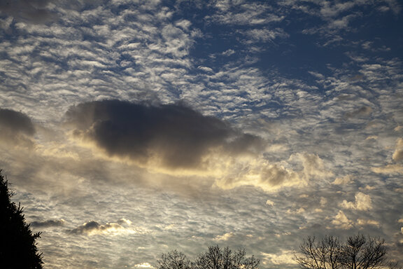 Altocumulus undulatus above Cumulus