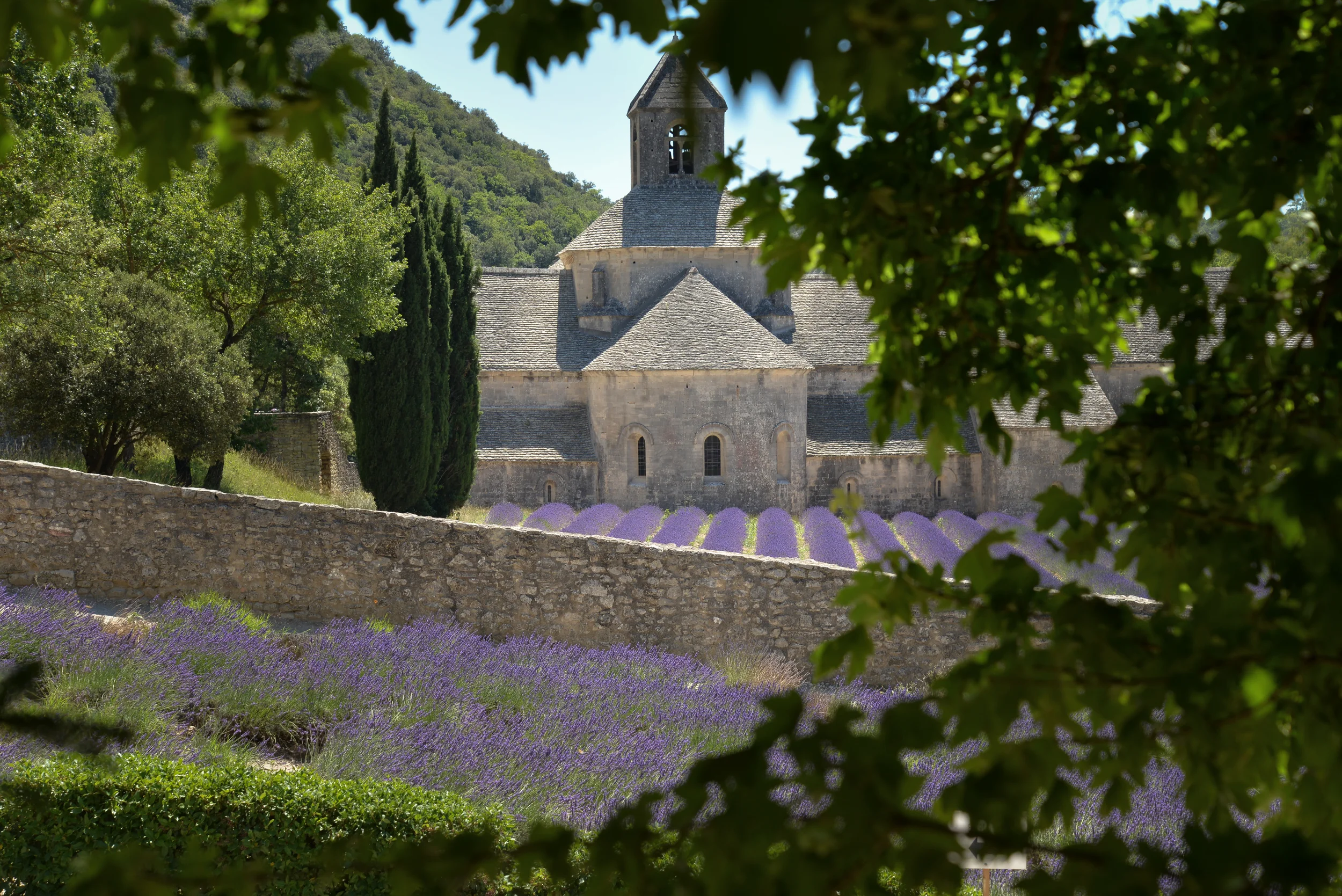 L'abbaye Notre Dame de Sénanque