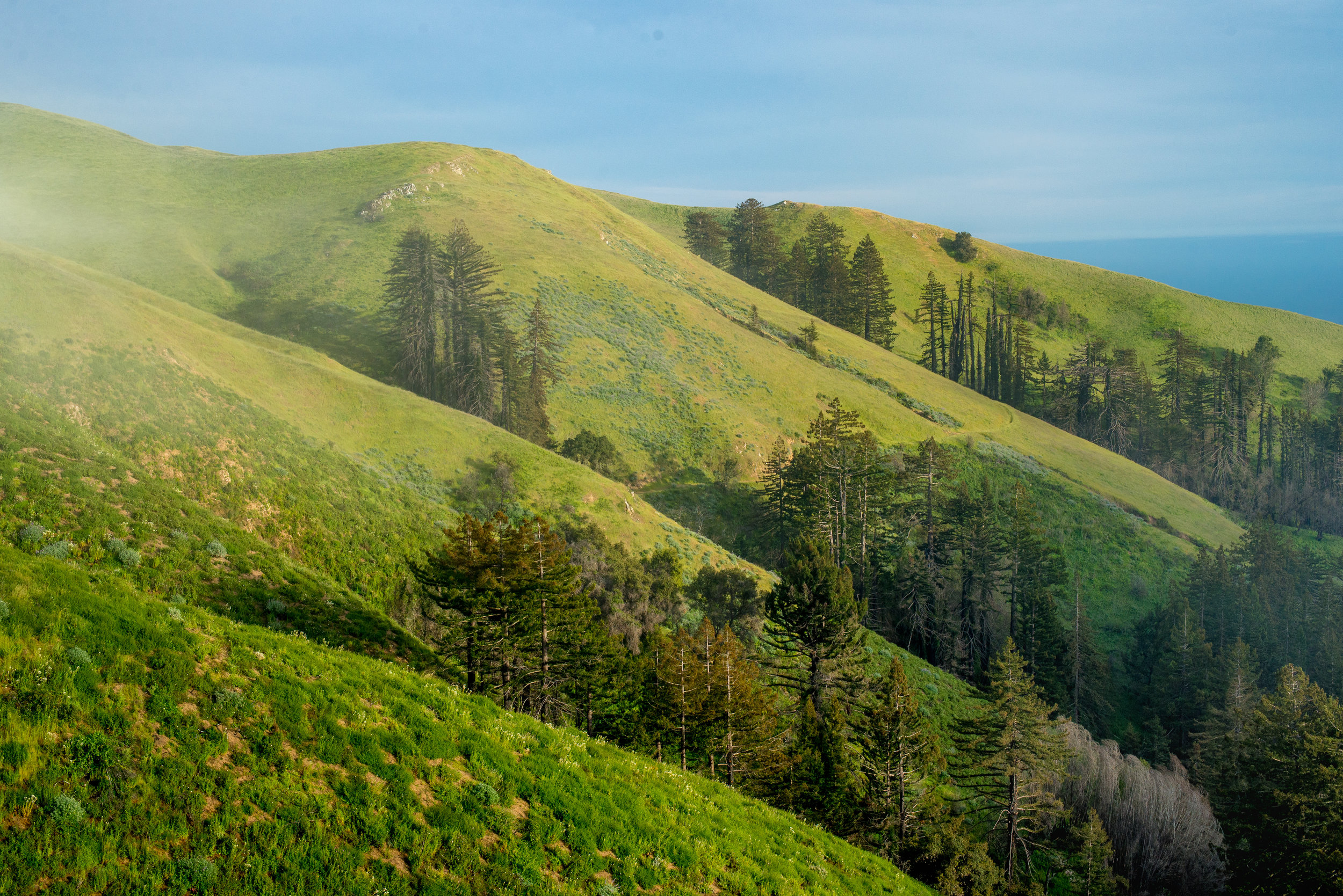 Big Sur | Big Sur, California