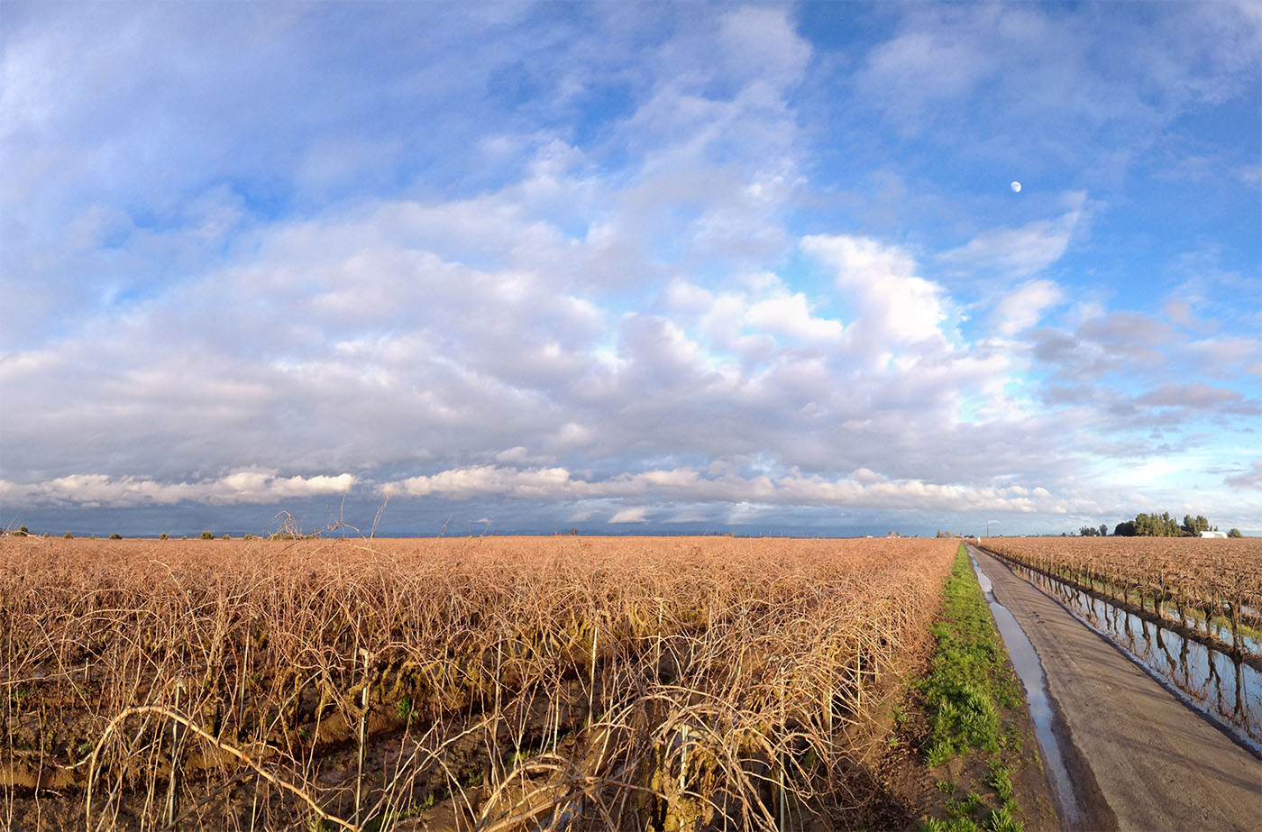 108-winery-delete+moon-1500w.jpg