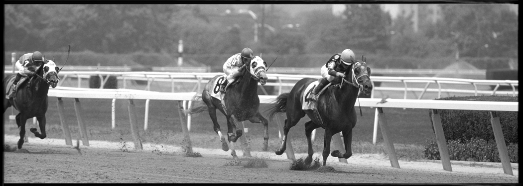 At Belmont Race Track, Queens, NYC.