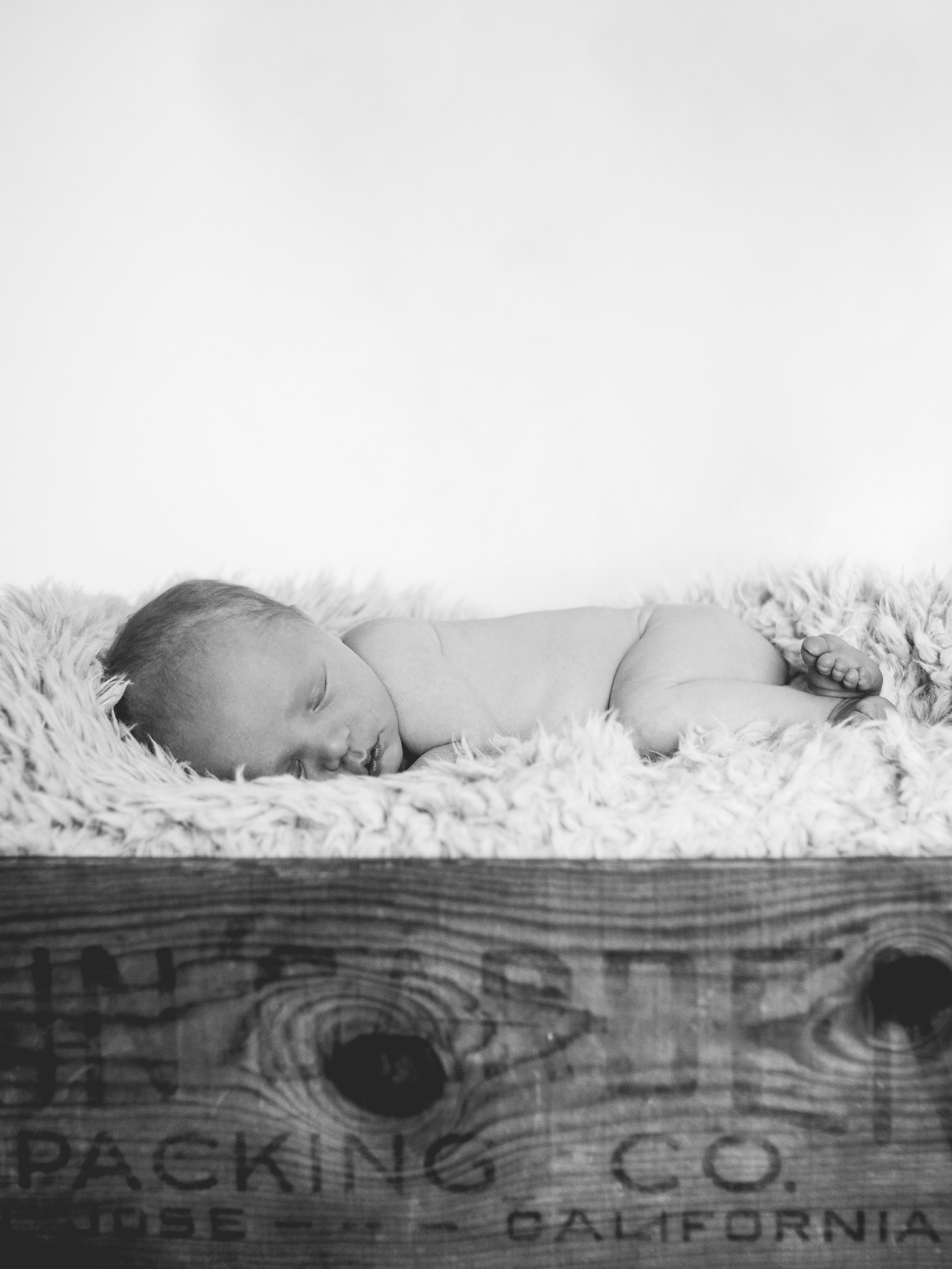 Swenson Baby and Halloween Fun-417-Edit-P.jpg