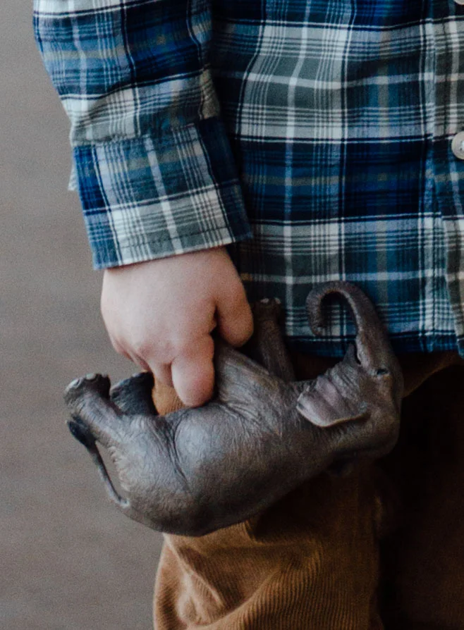 Reil Family Nov. 2015-322.jpg