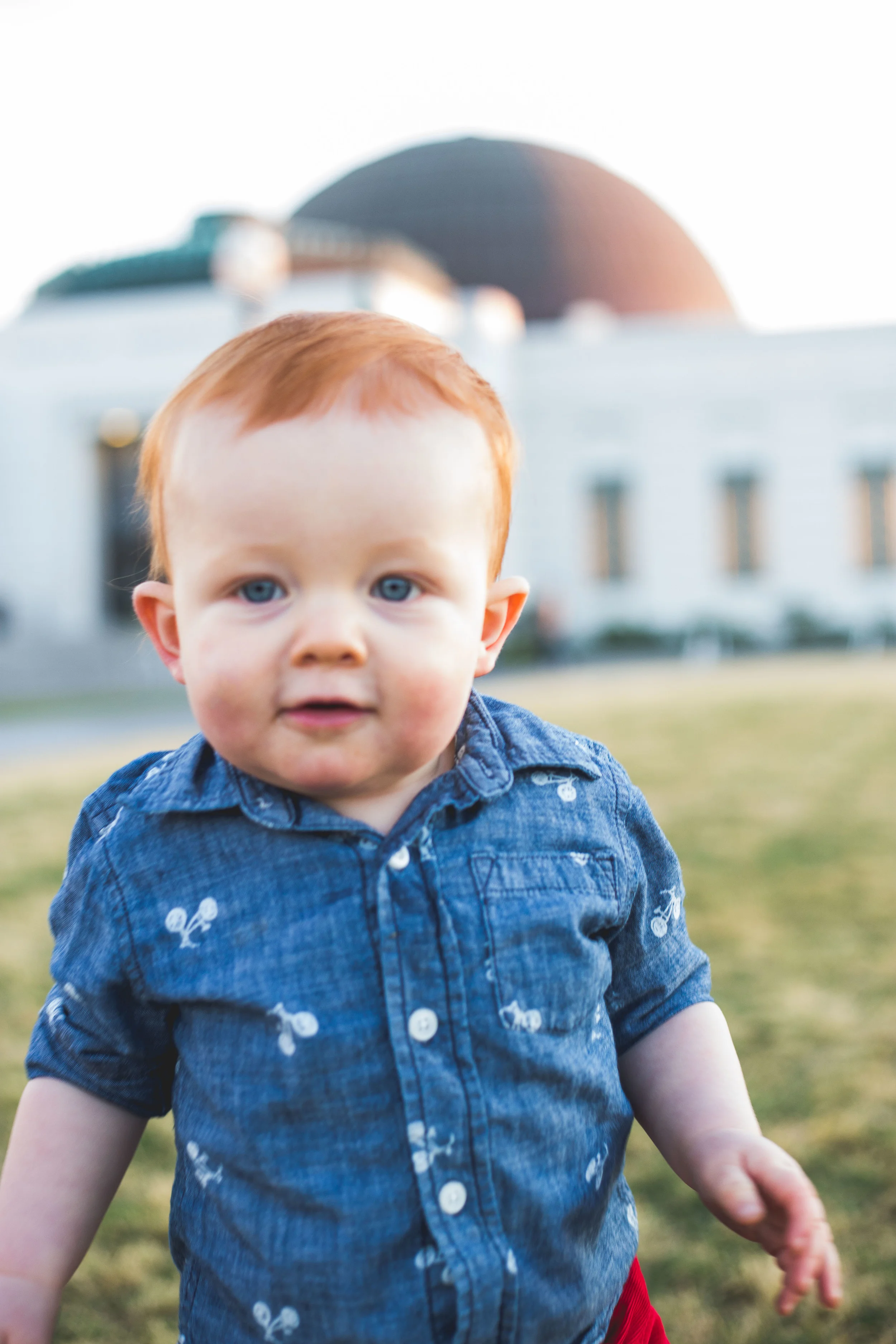 Dyckmans Dec 2015-664-Edit-P.jpg