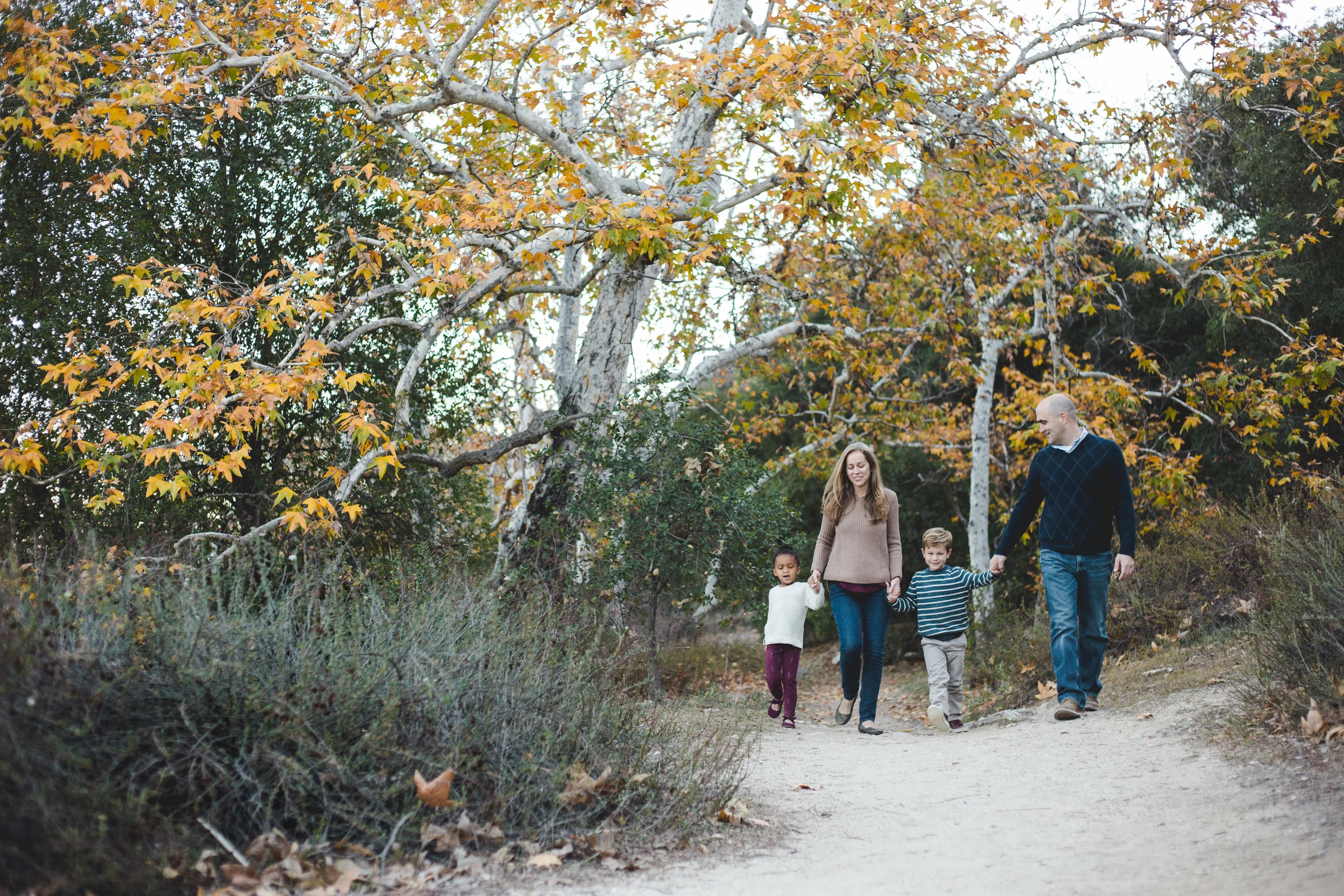 20151212-Johnsons and Gingerbread houses-071-2.jpg