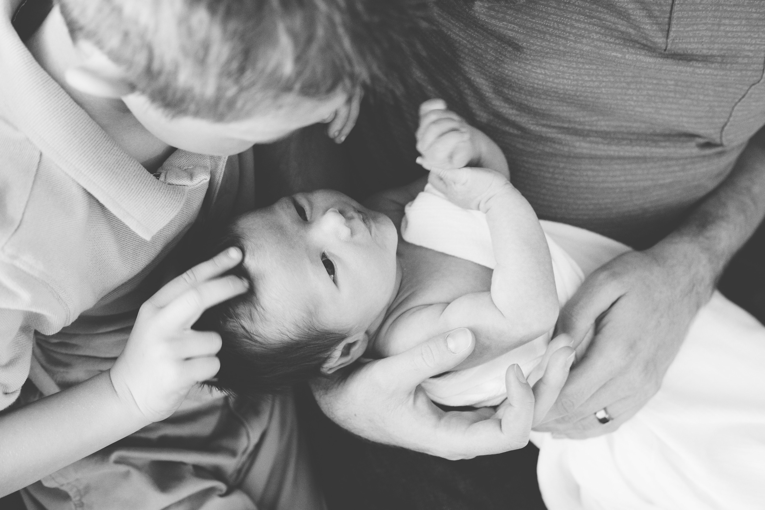 Hilton Newborn -248.jpg