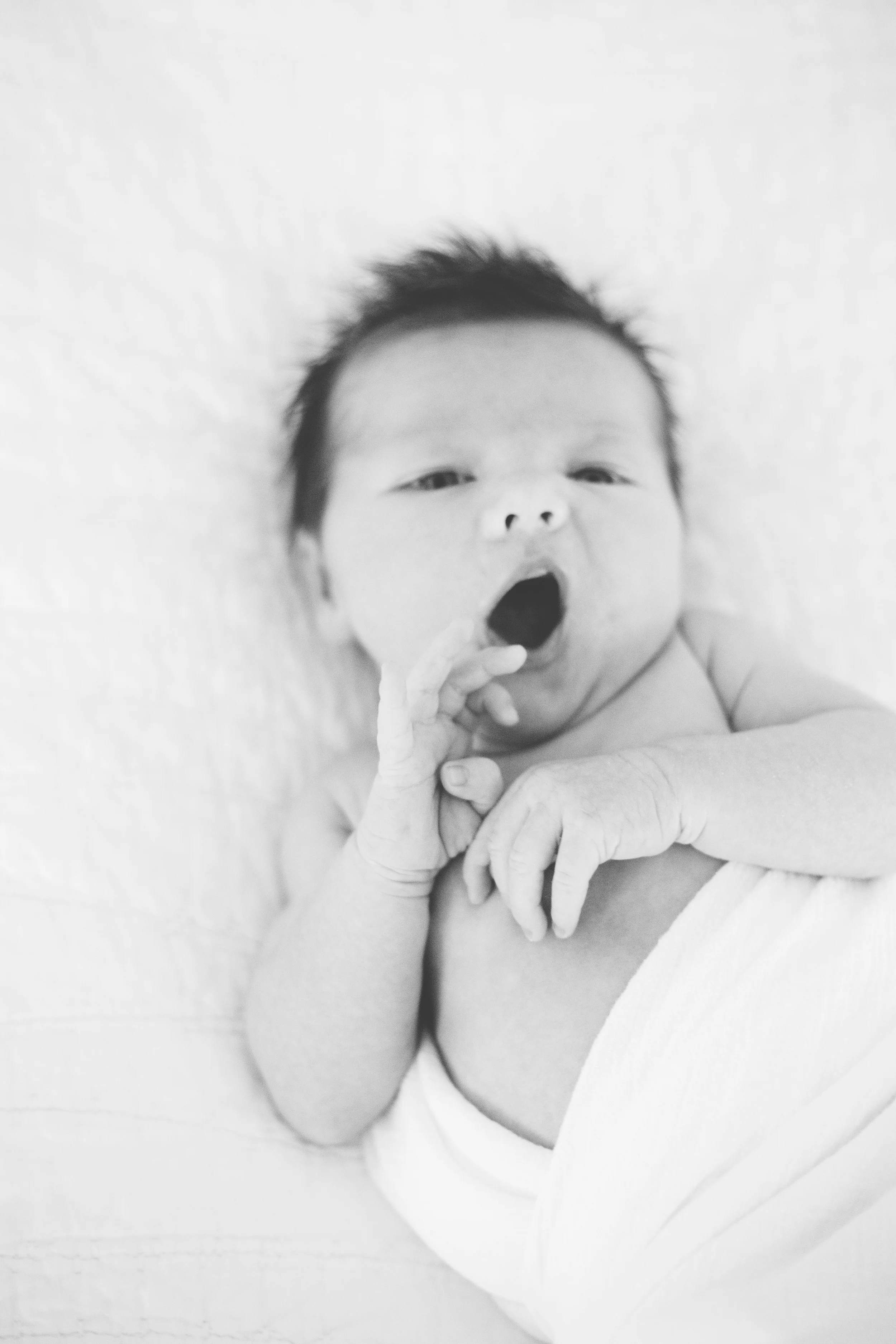 Hilton Newborn -217.jpg