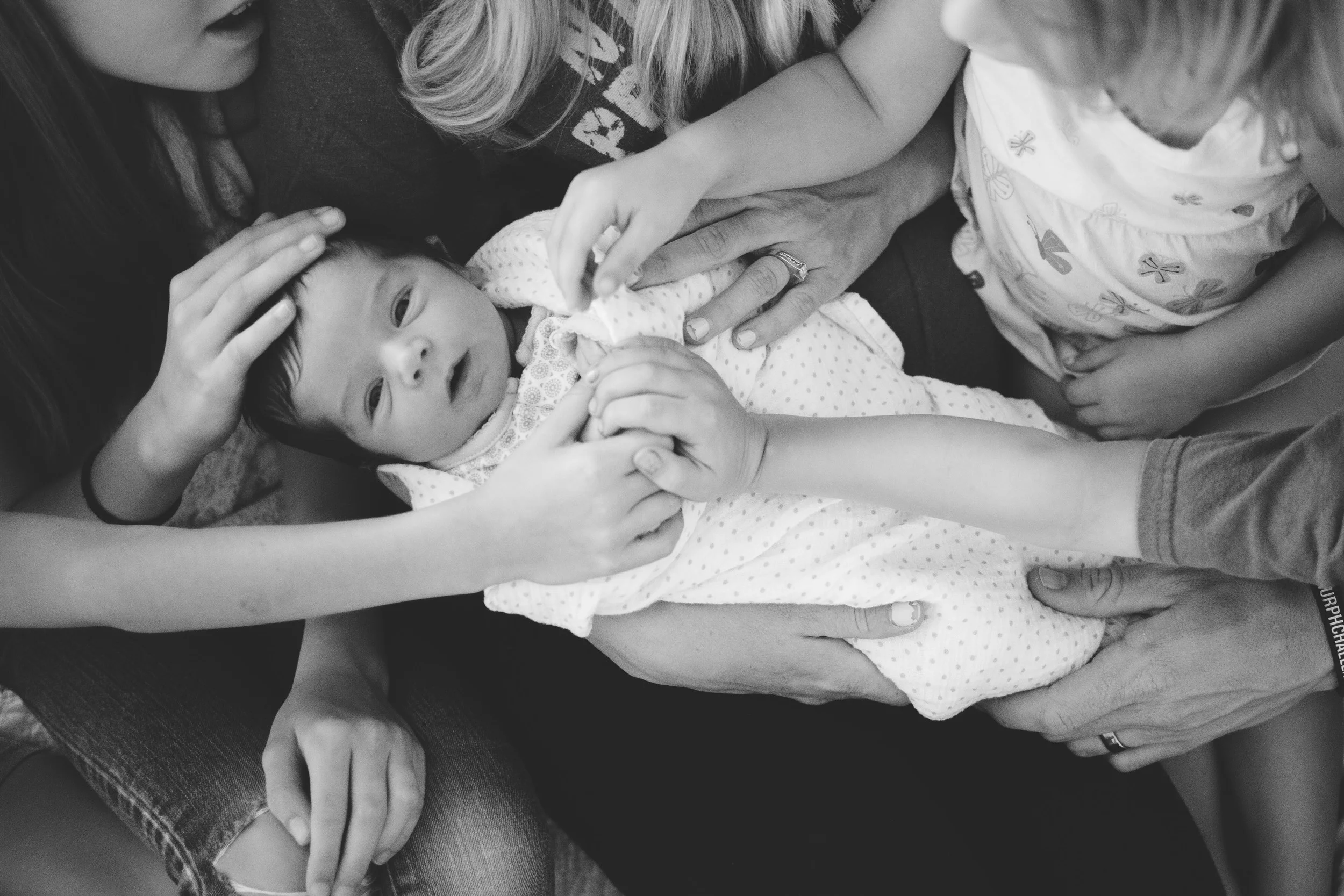 Livermore, winnie-544.jpg