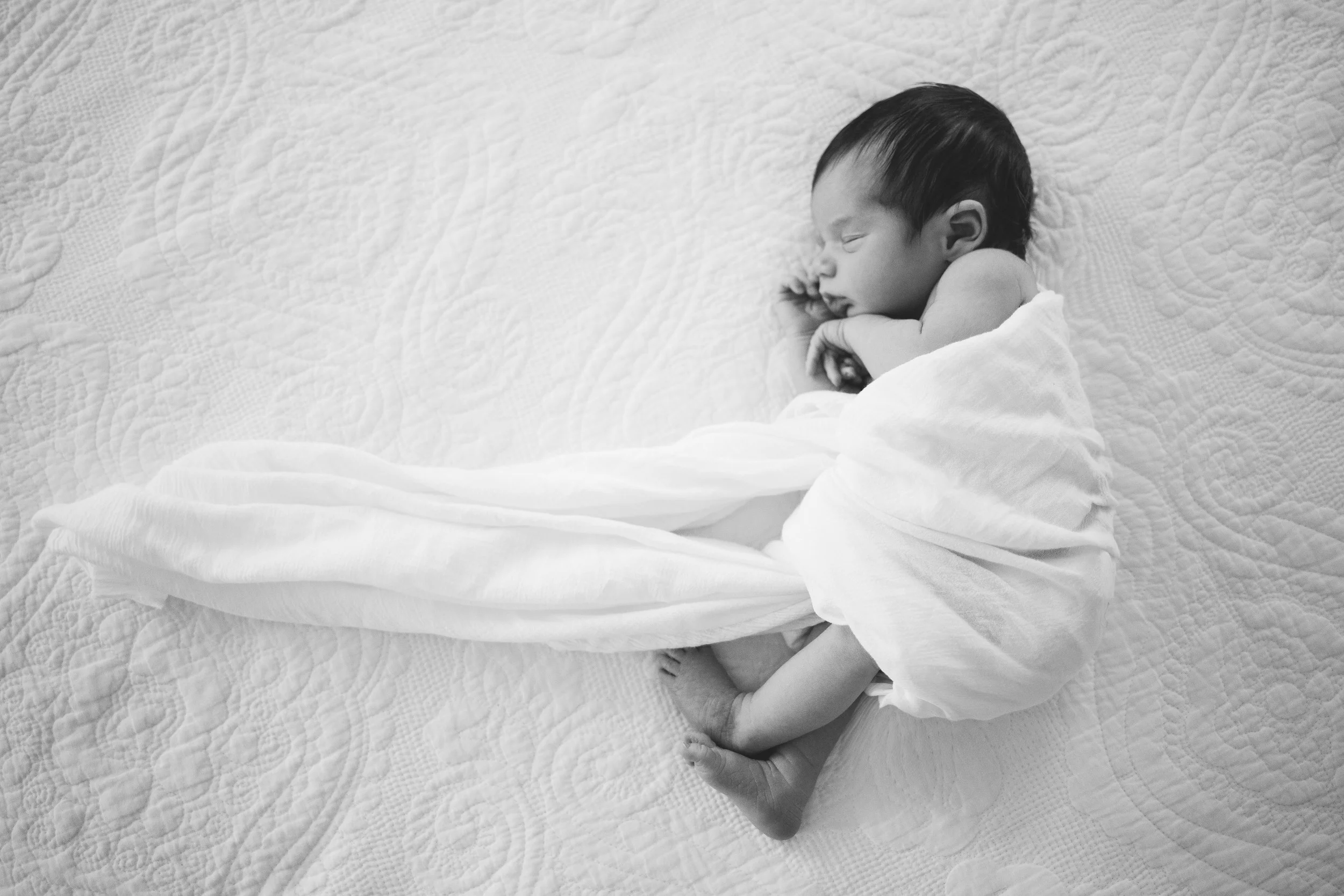 Livermore, winnie-989-Edit-P-3.jpg