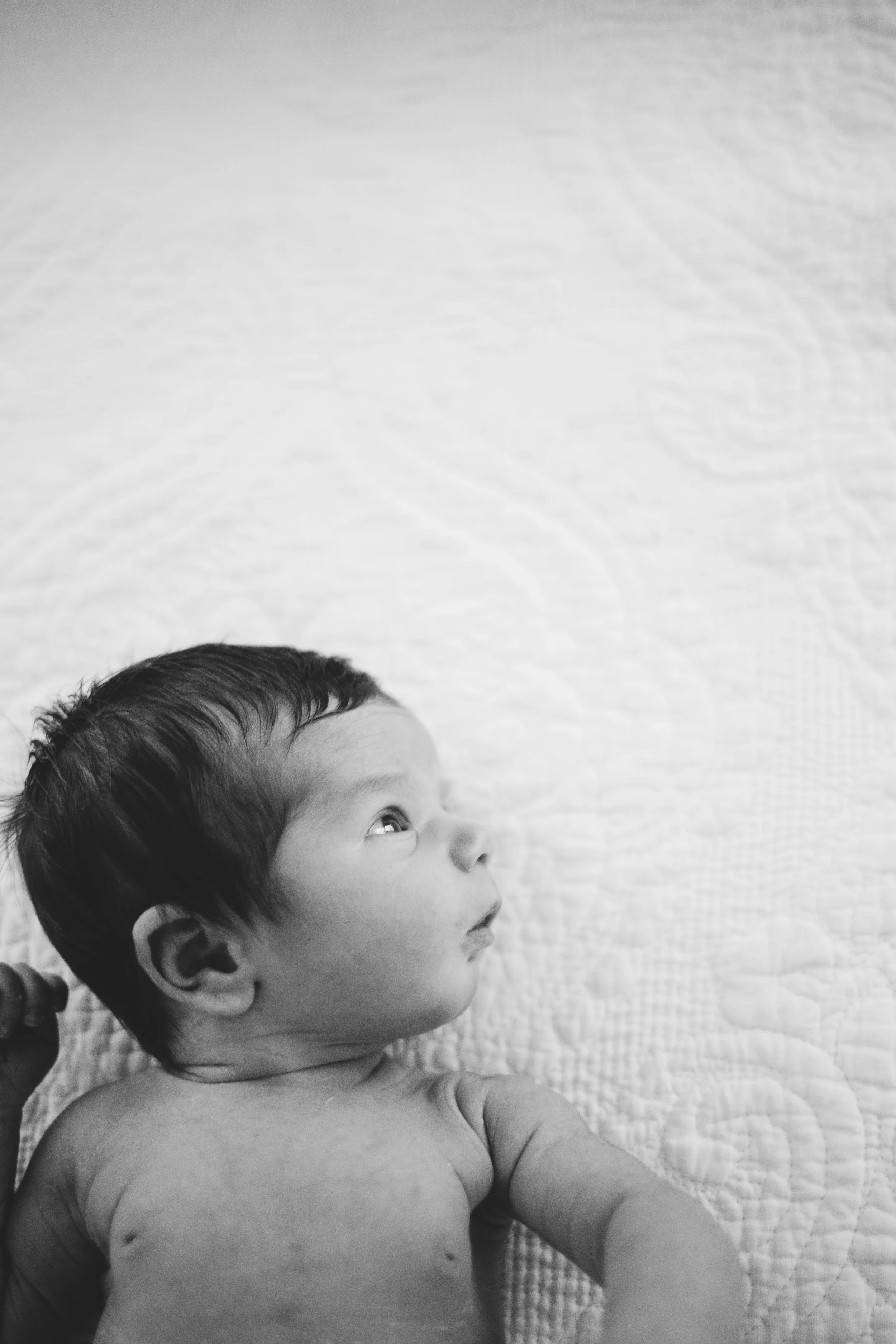 Winnie Lawrence-189-2.jpg