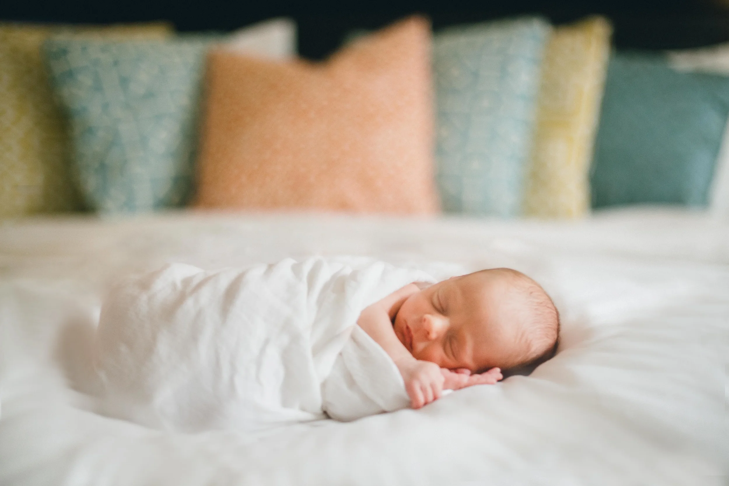 Calvin Bayles-276-Edit-P-2.jpg