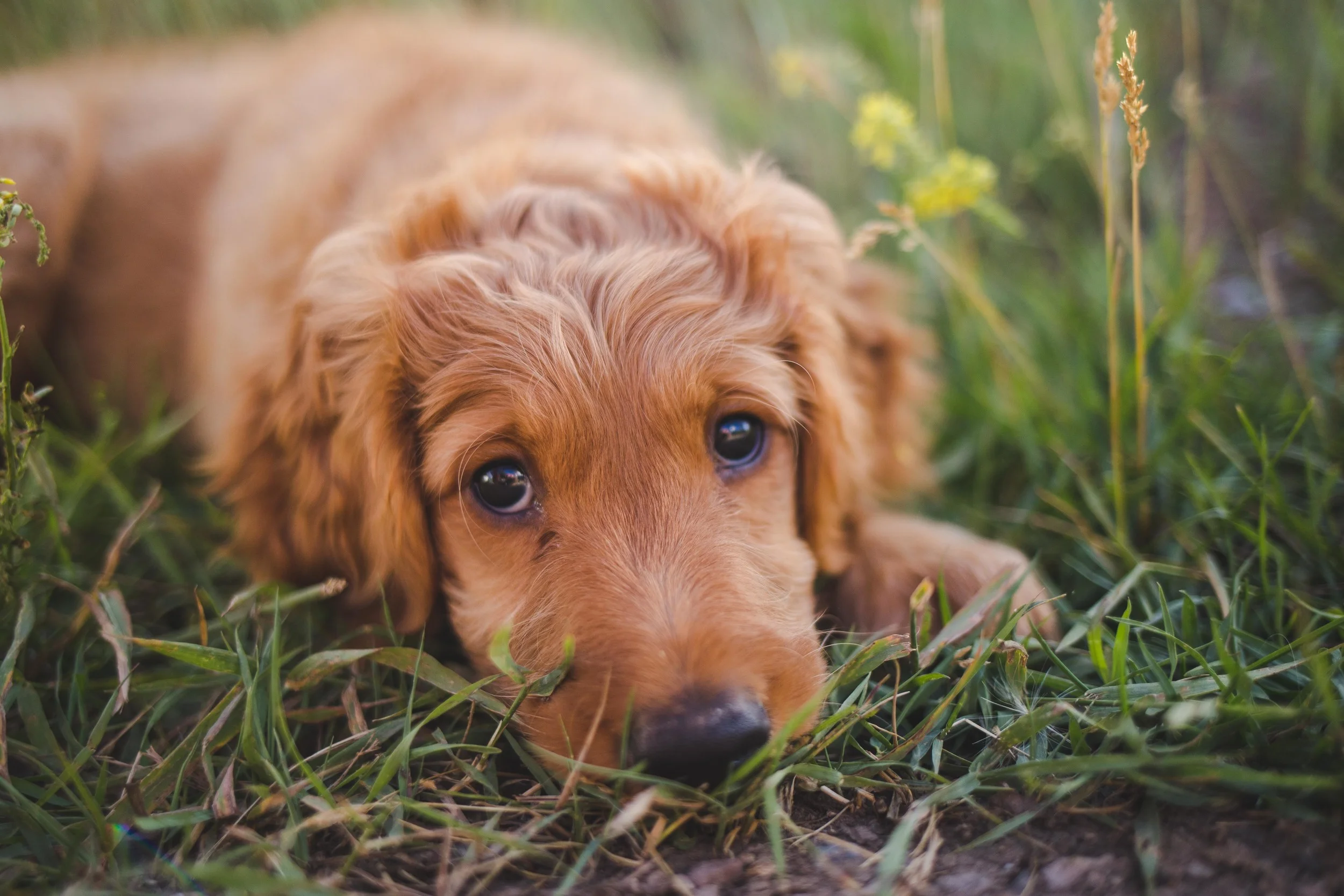 Angie and Kevin-008.jpg