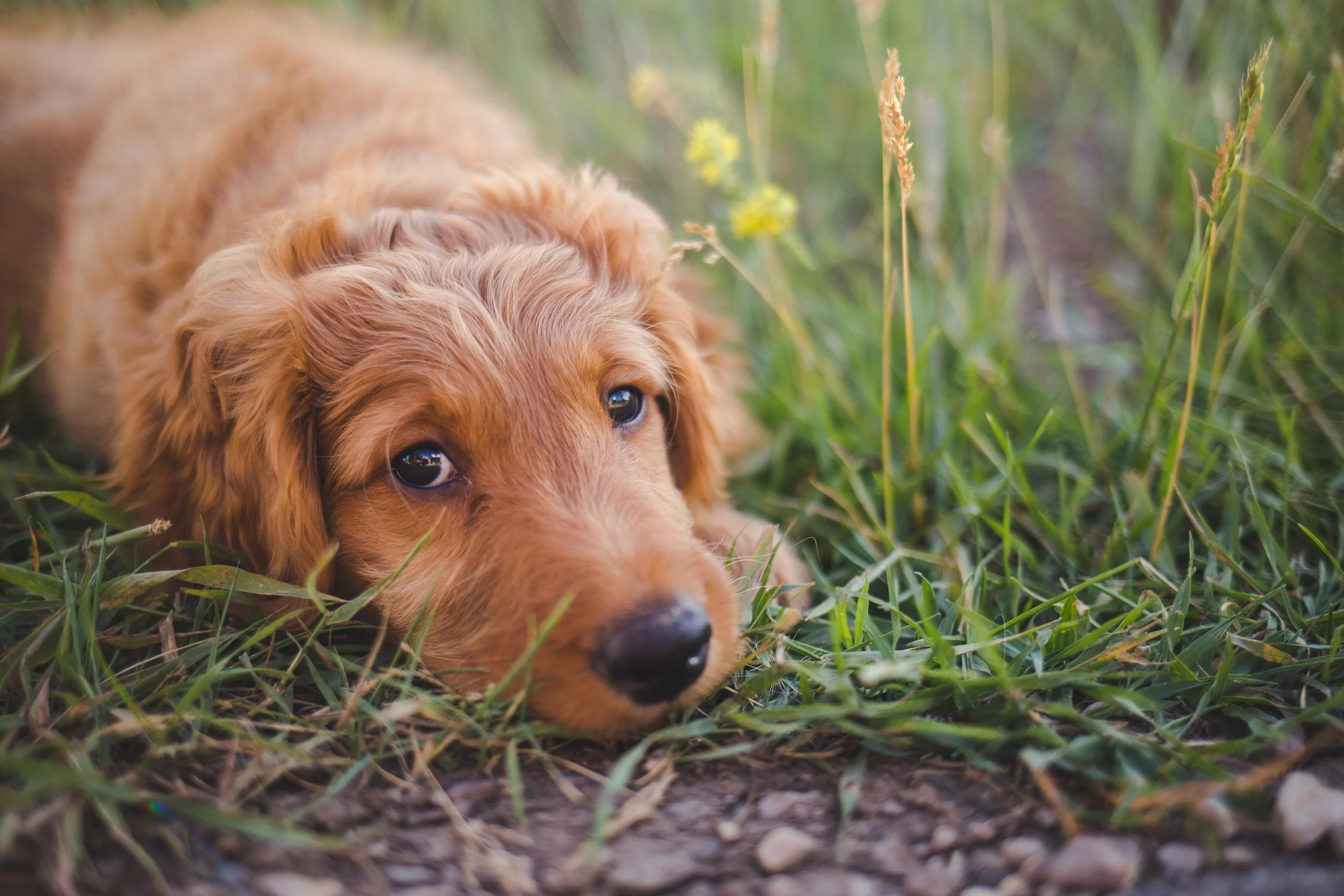 Angie and Kevin-009.jpg