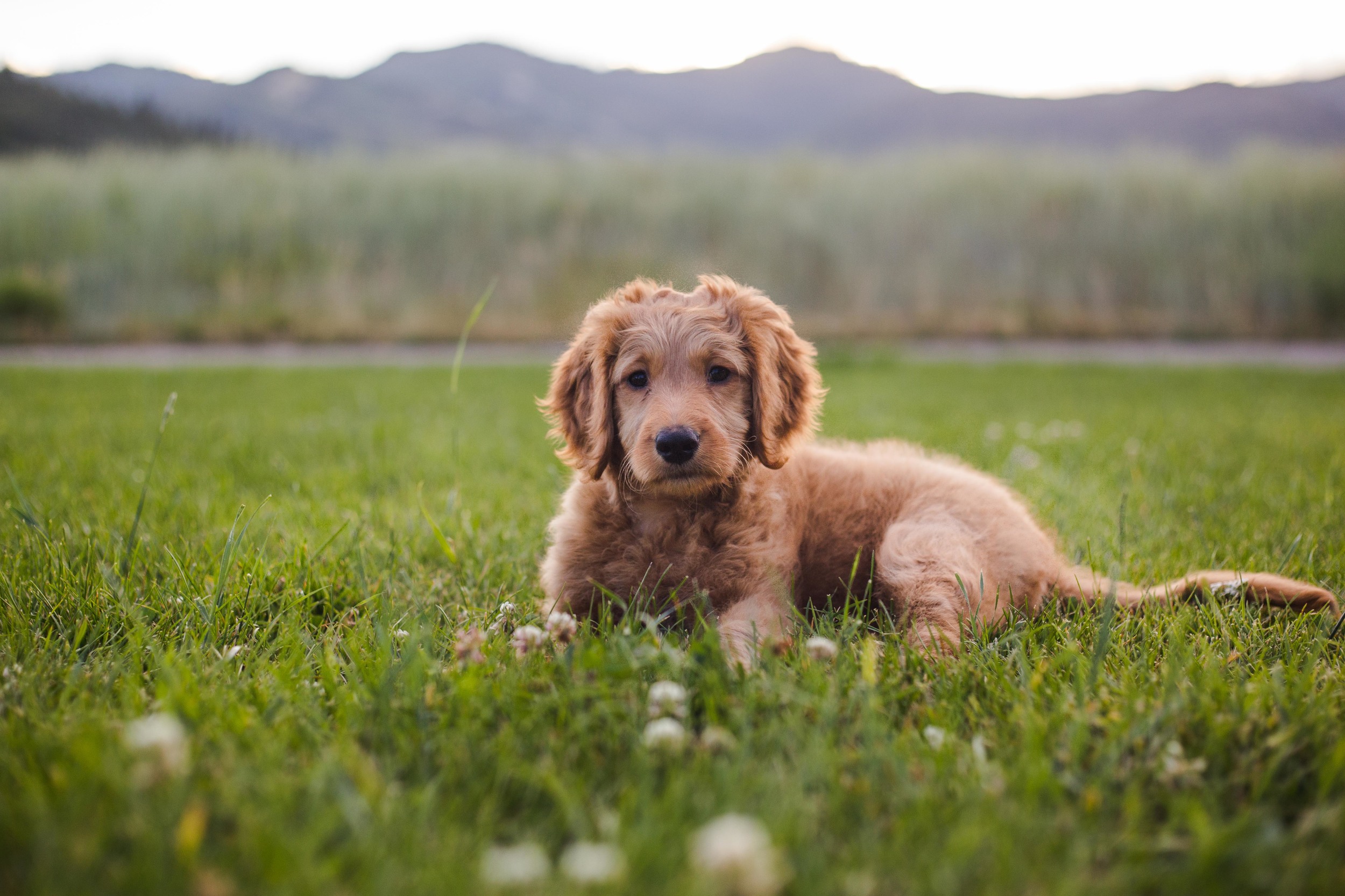 Angie and Kevin-363-2.jpg