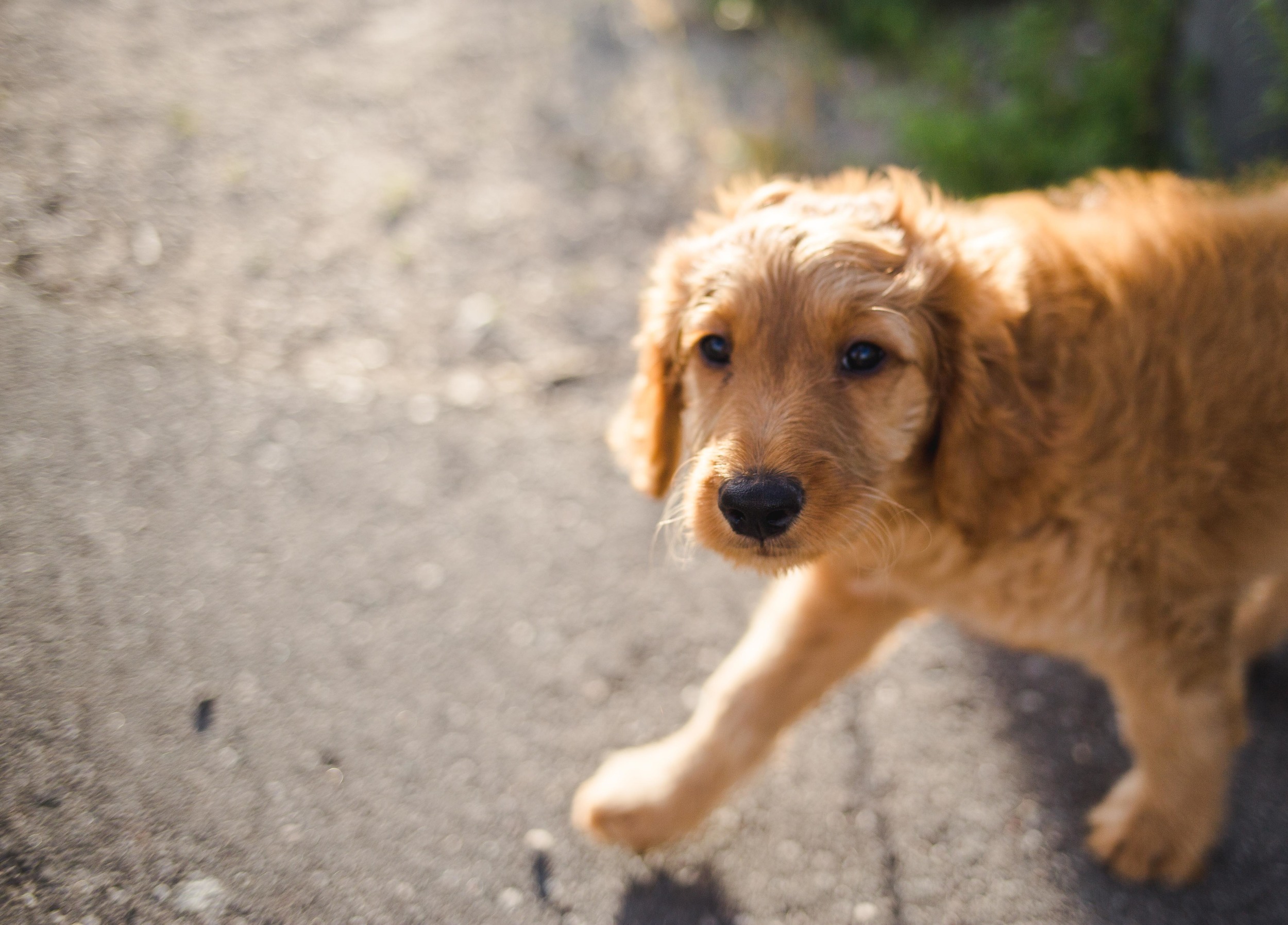 Angie and Kevin-381.jpg