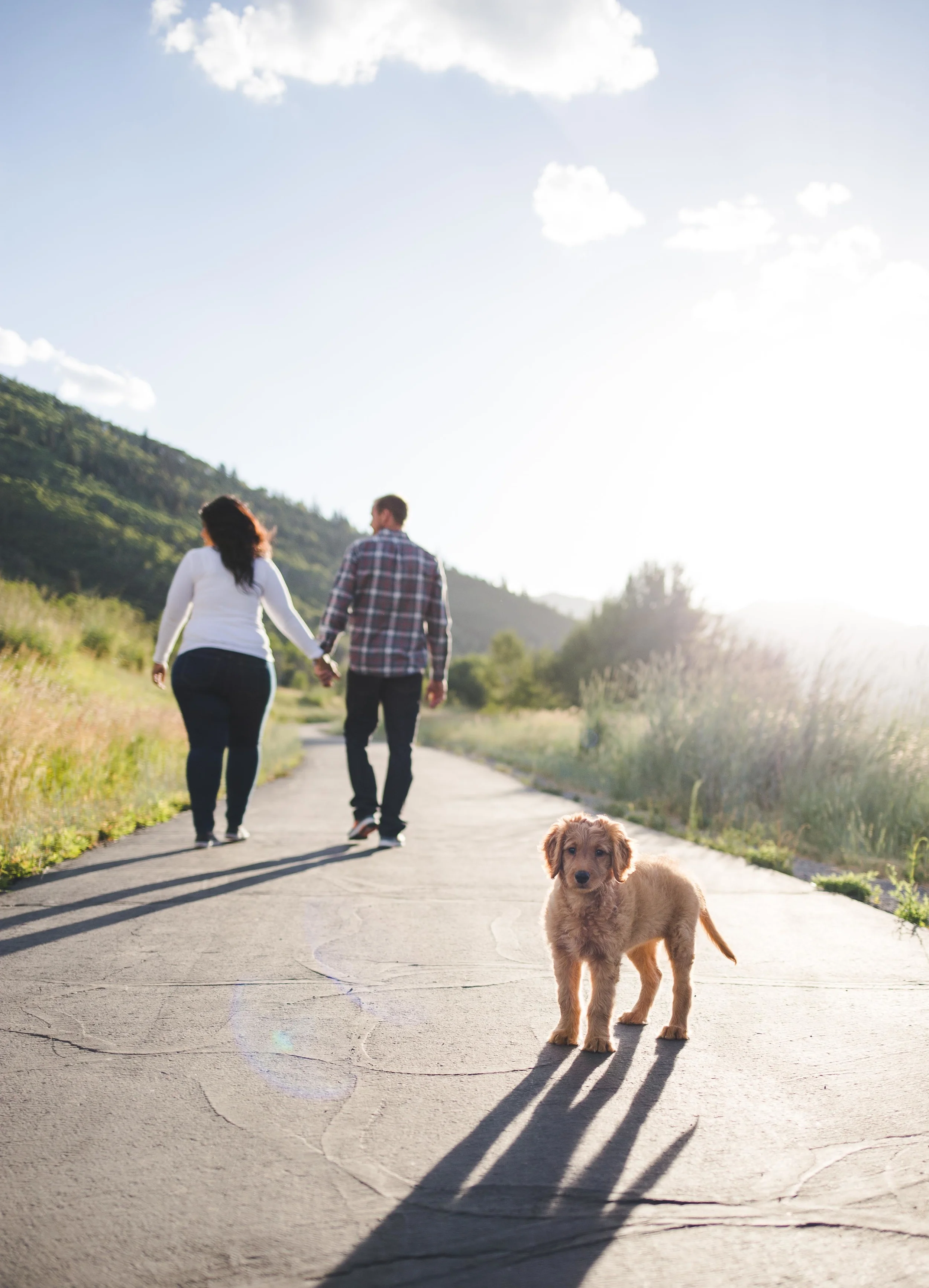 Angie and Kevin-418.jpg