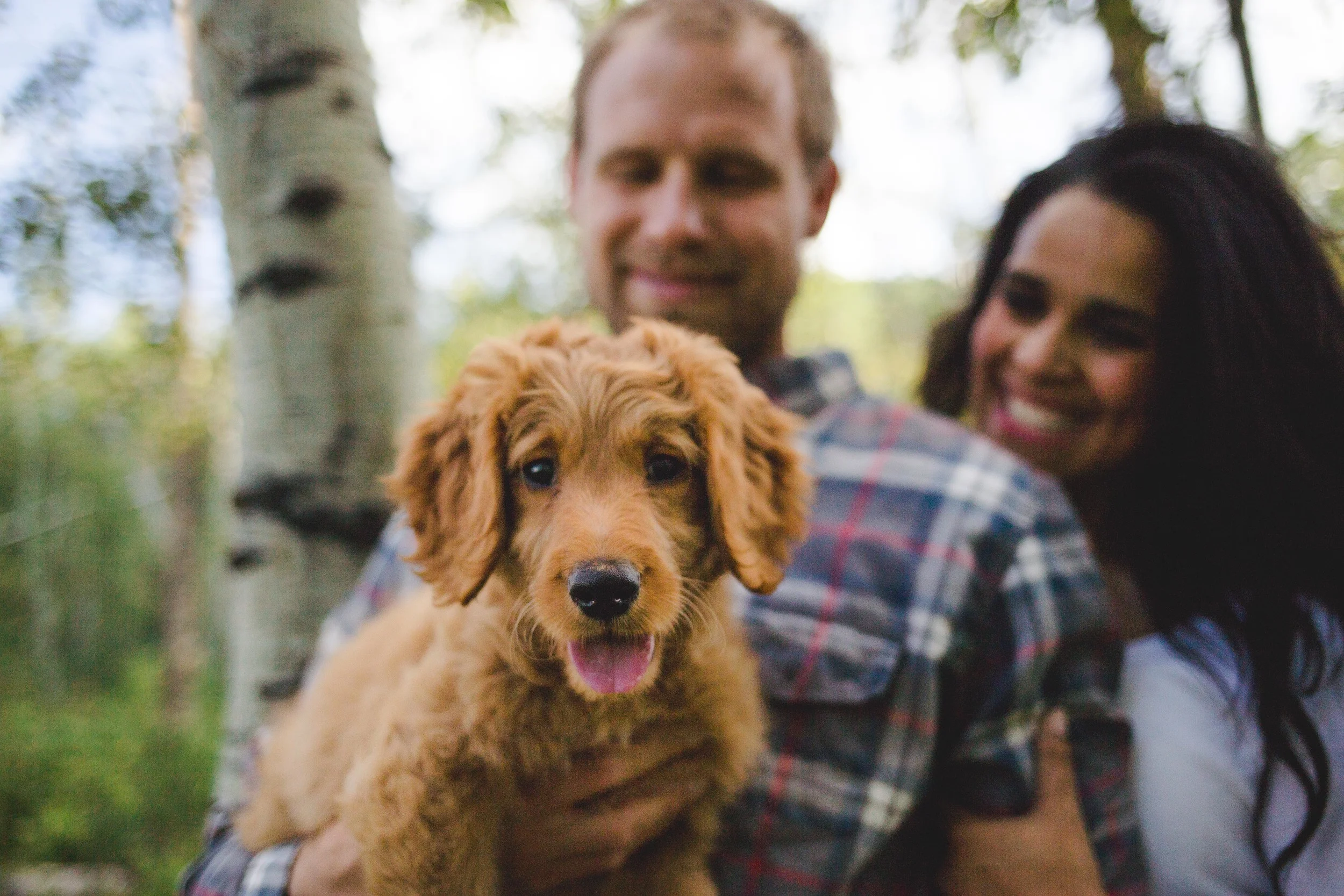 Angie and Kevin-533.jpg