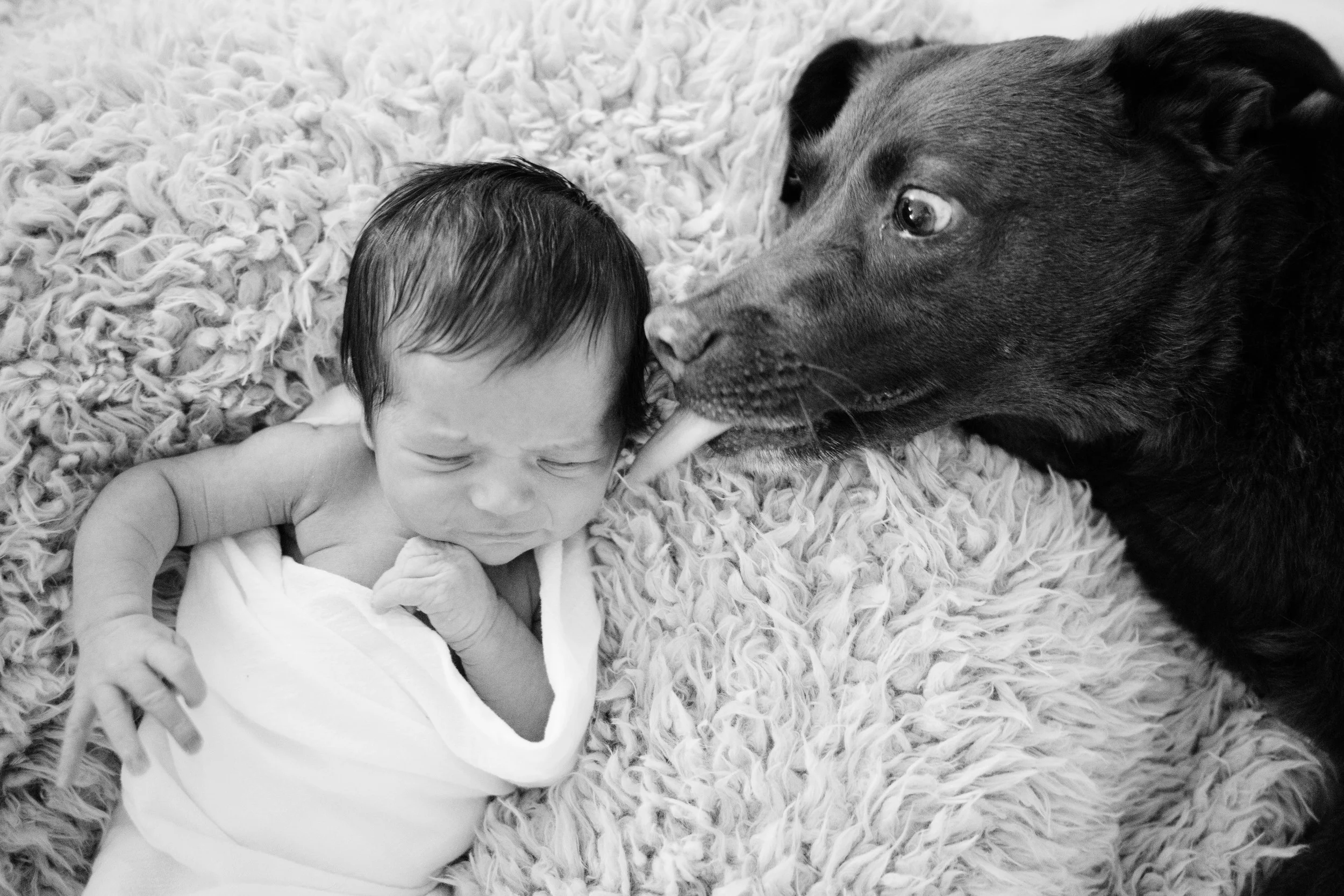 Livermore, winnie-886.jpg