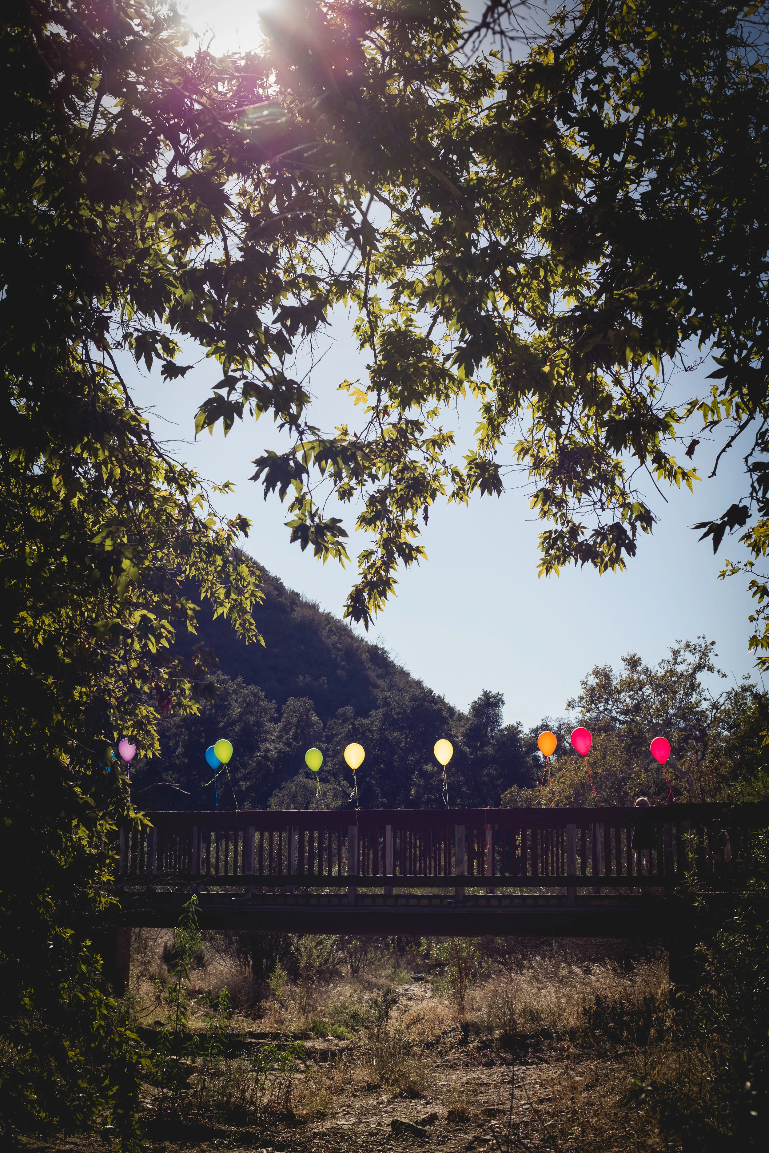 October misc-379.jpg