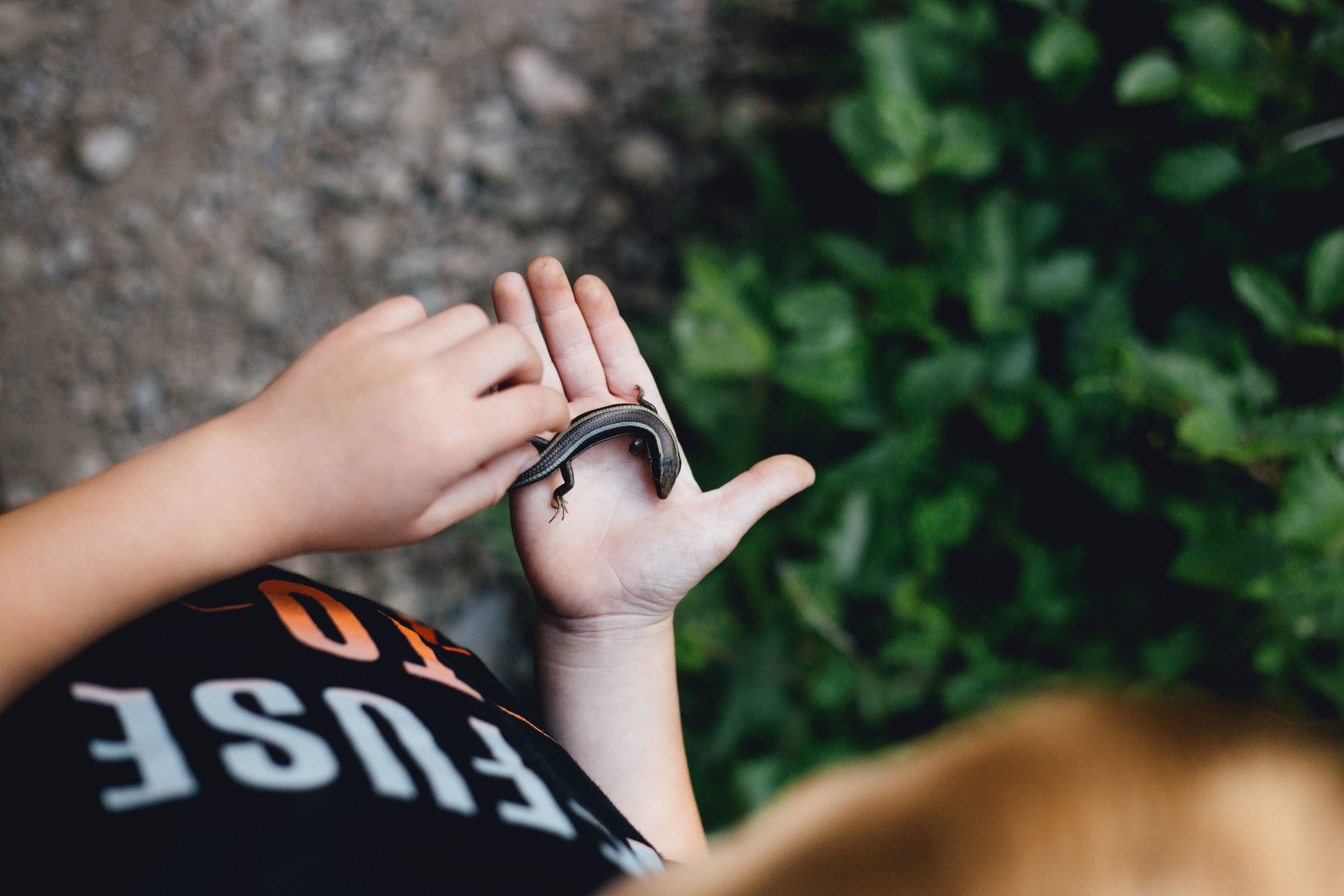 sping break Big Sur March 2016-451.jpg