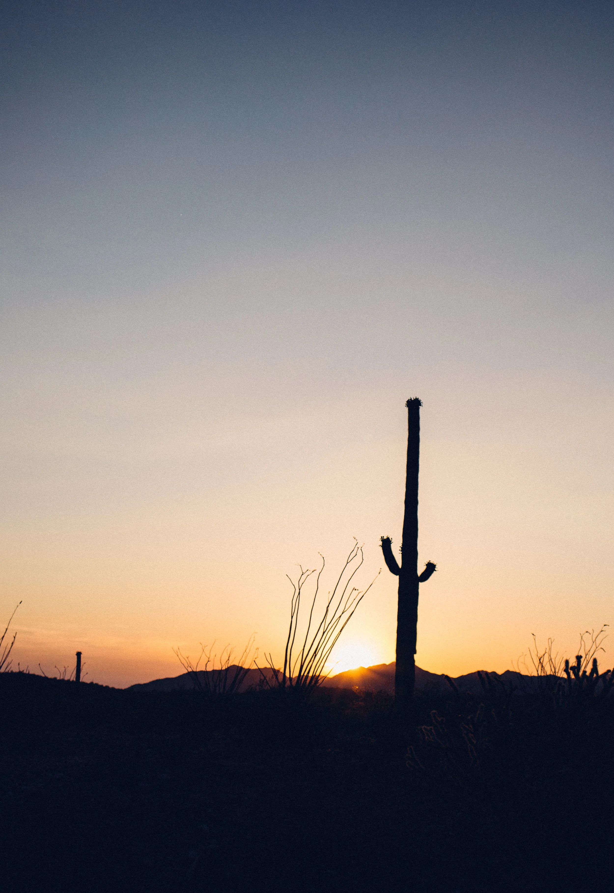 Texas Roadtrip-127.jpg