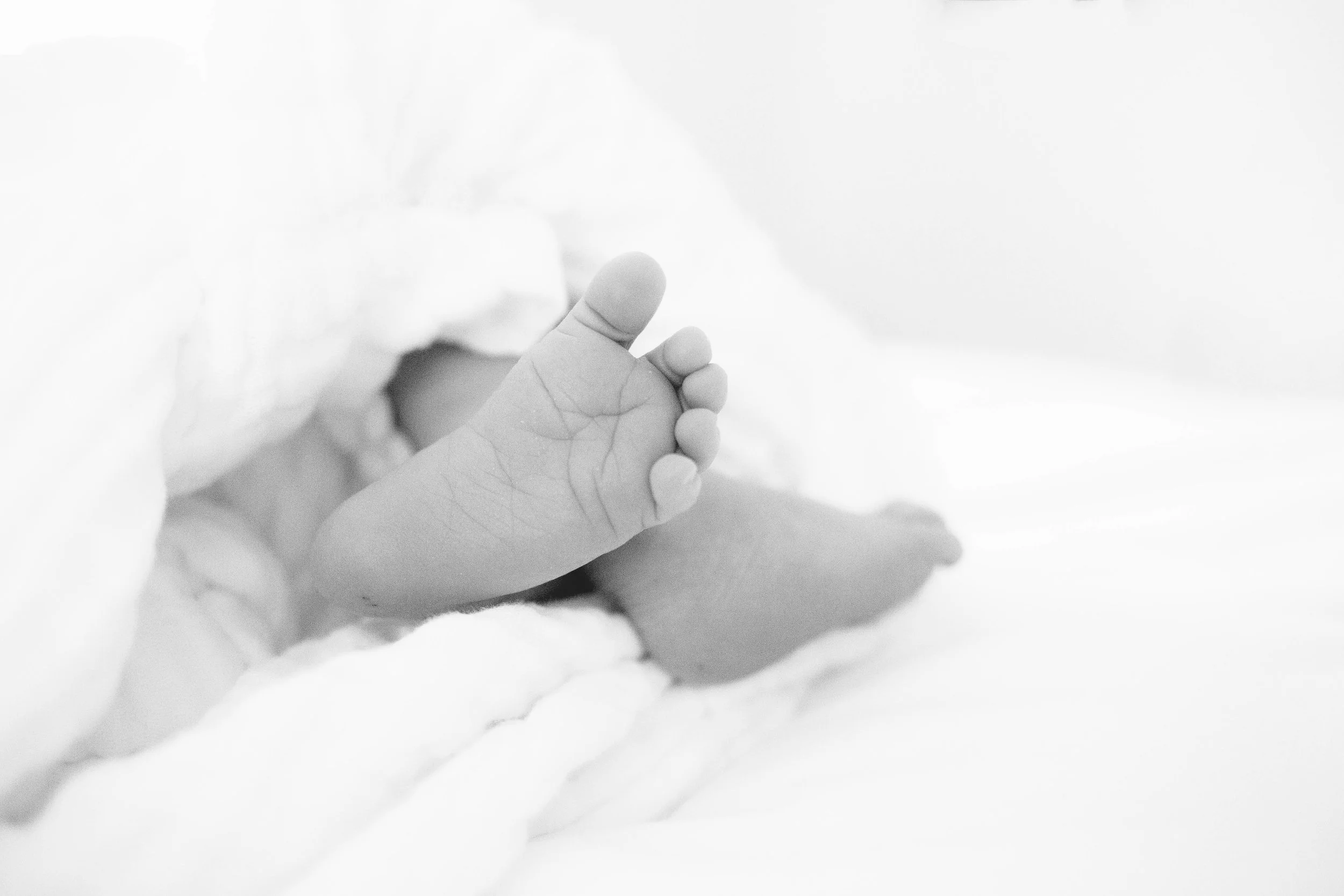 untitled shoot-870-Edit.jpg