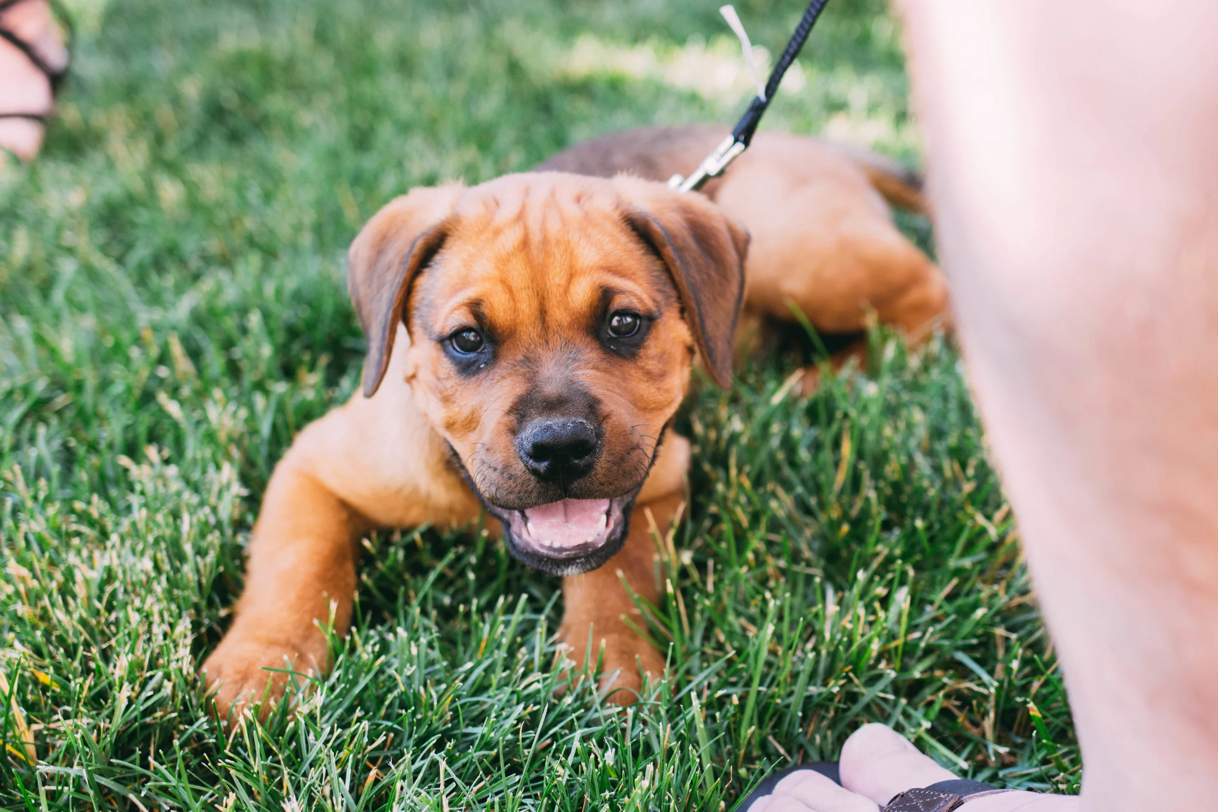 online quality-86.jpg