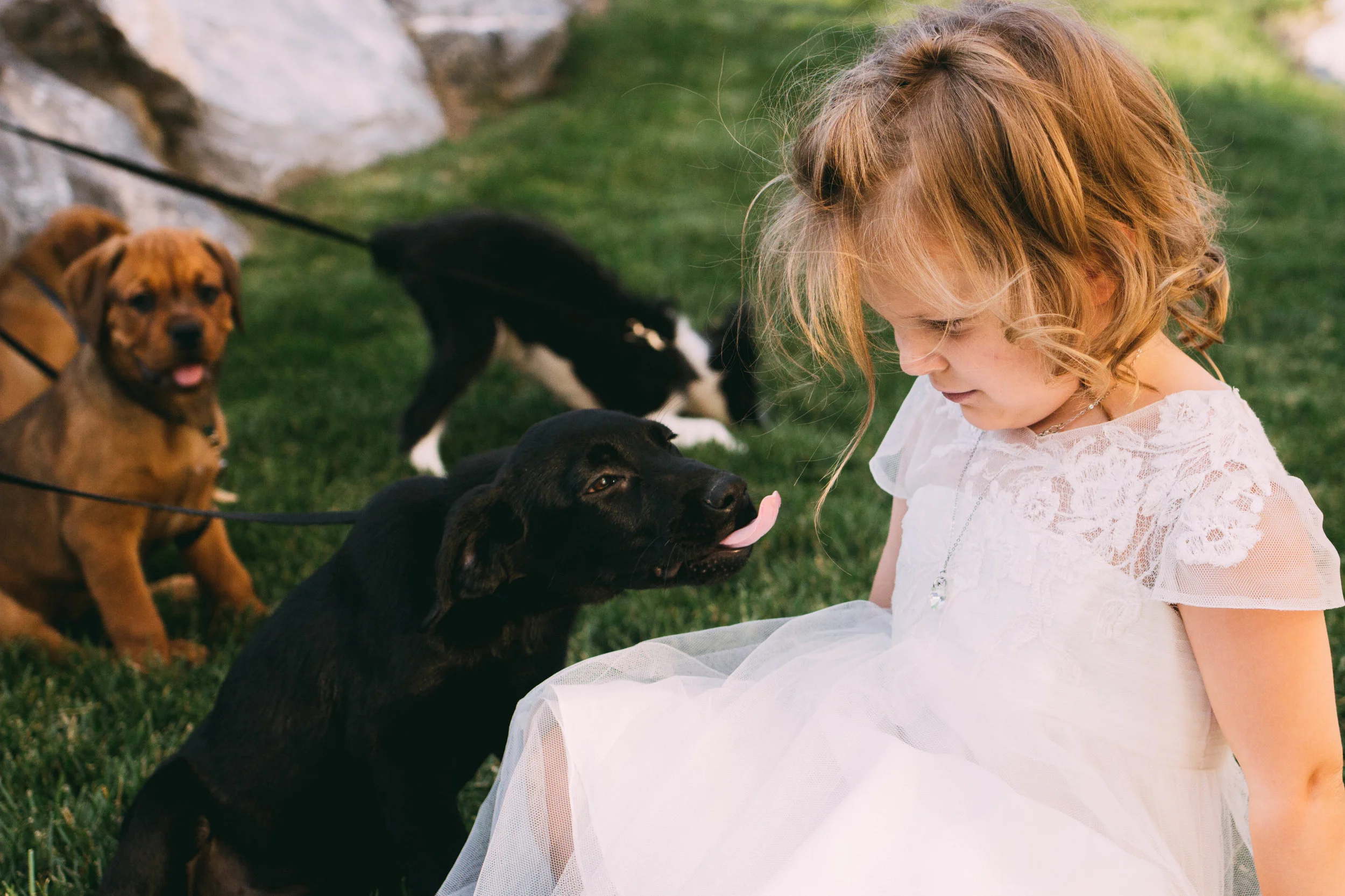 online quality-89.jpg