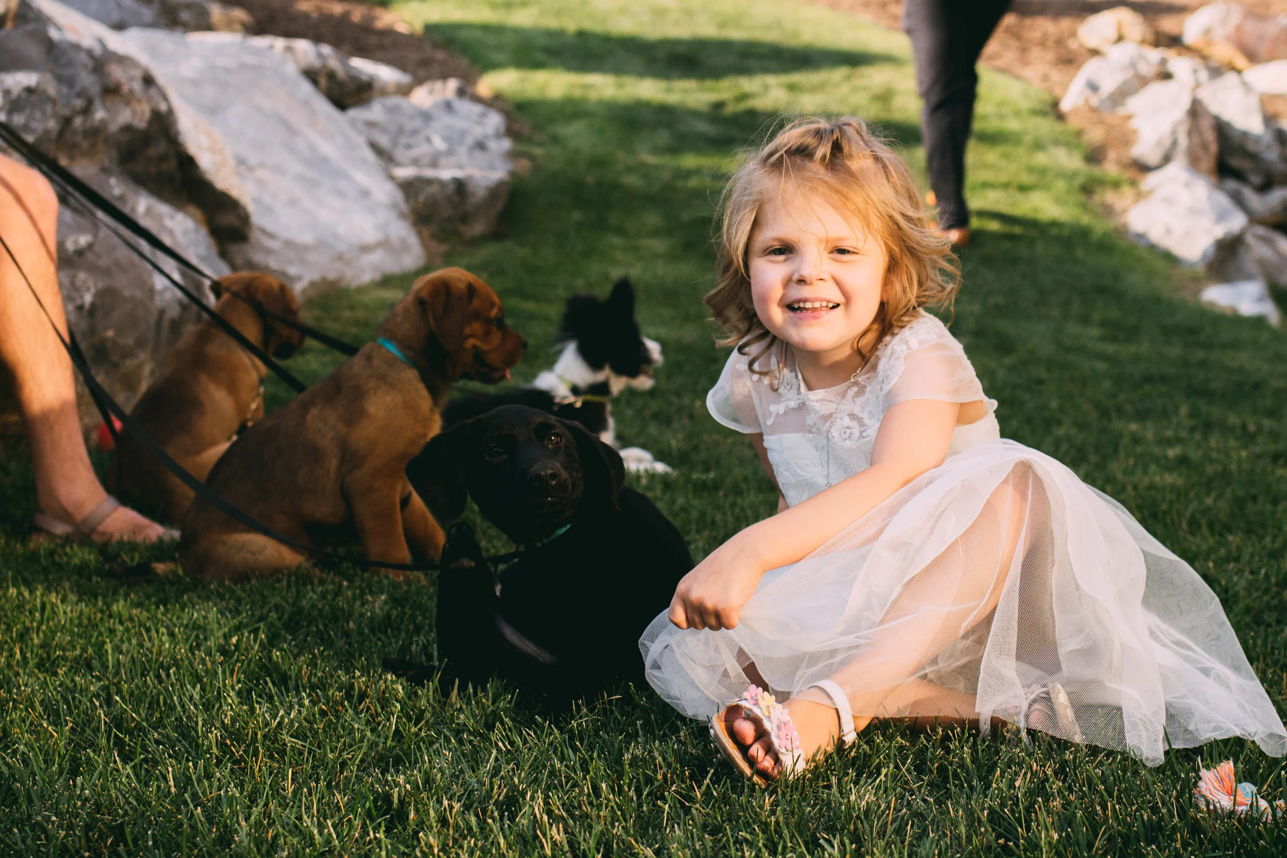 online quality-90.jpg