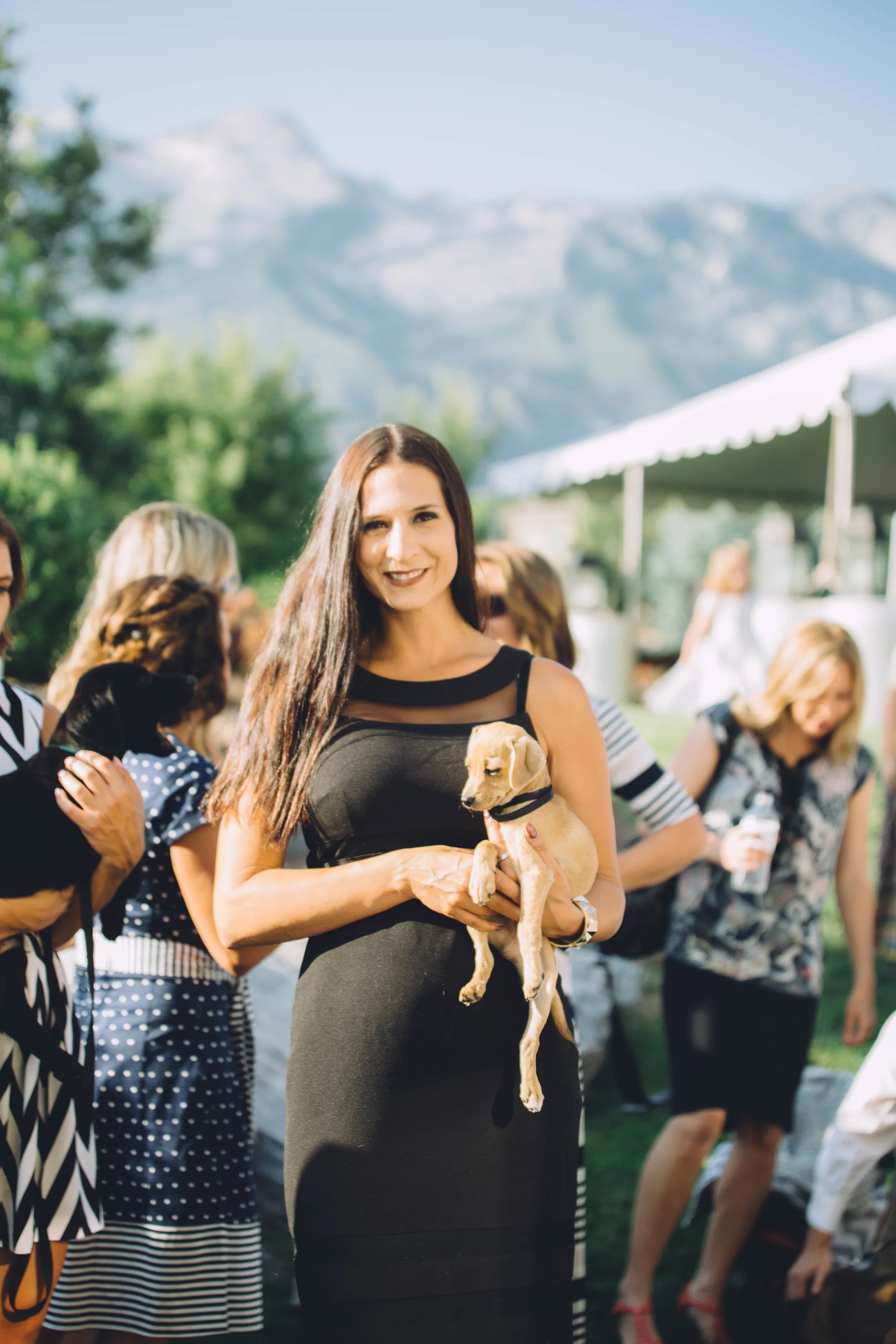 online quality-100.jpg