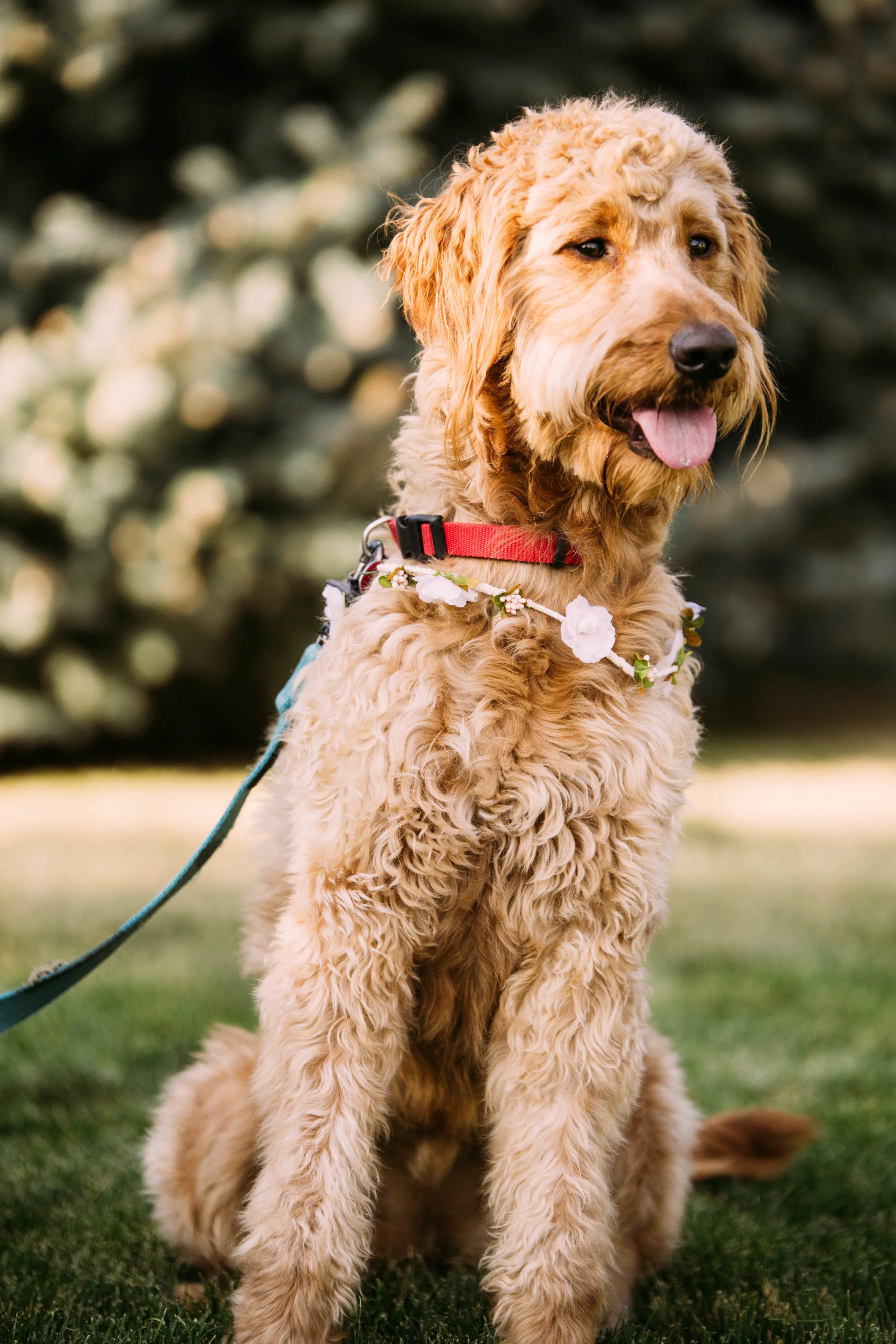 online quality-105.jpg