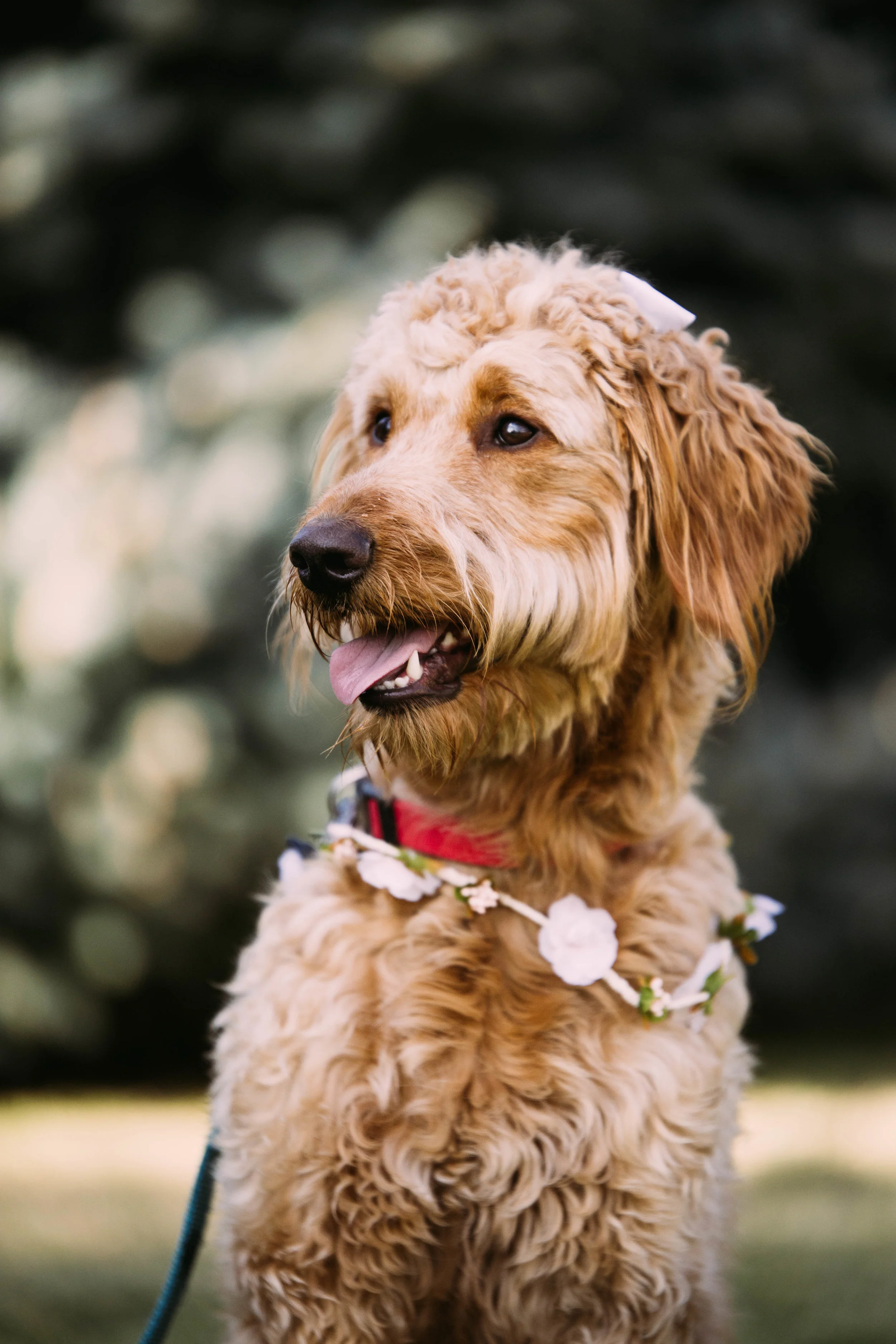 online quality-106.jpg