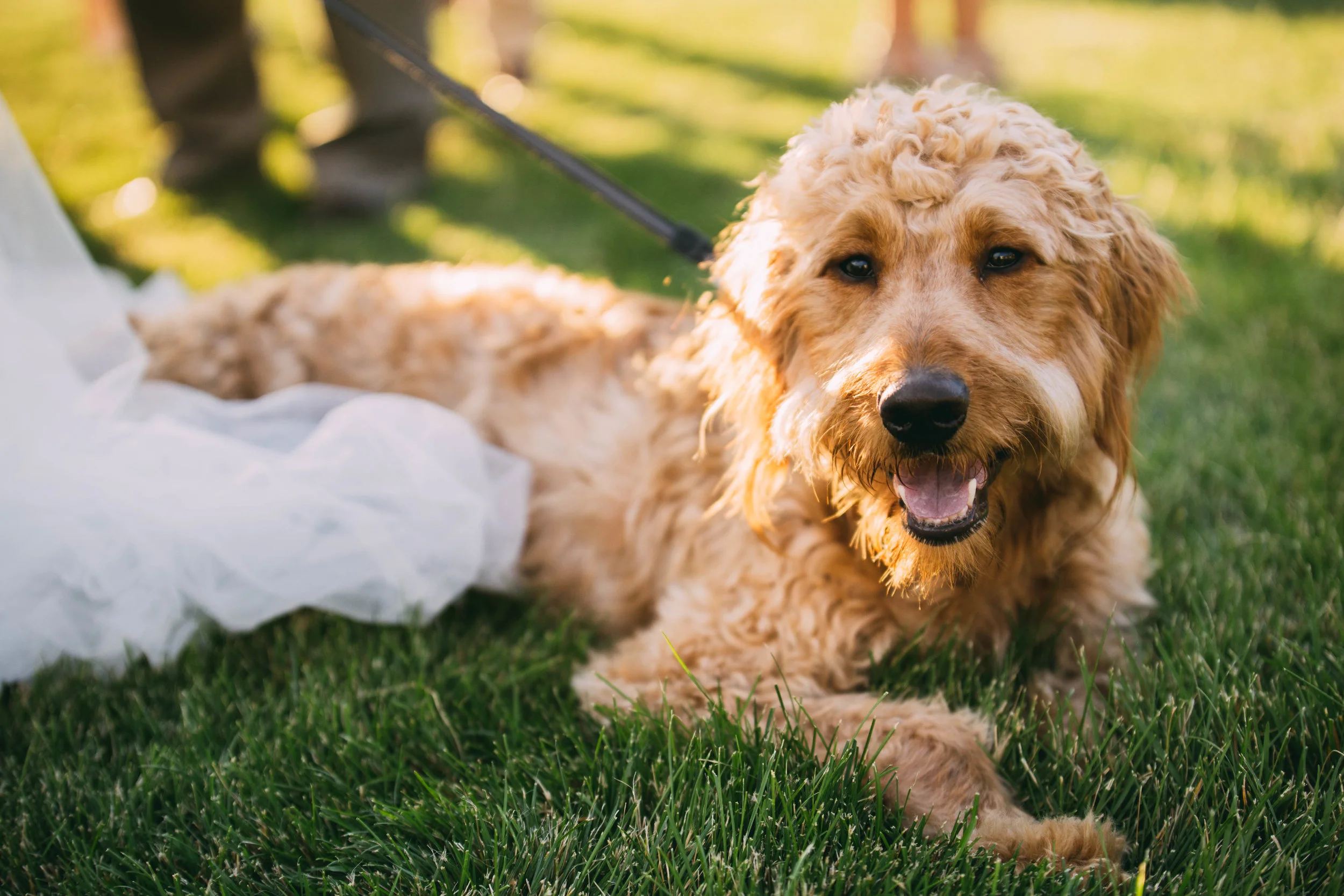 online quality-231.jpg