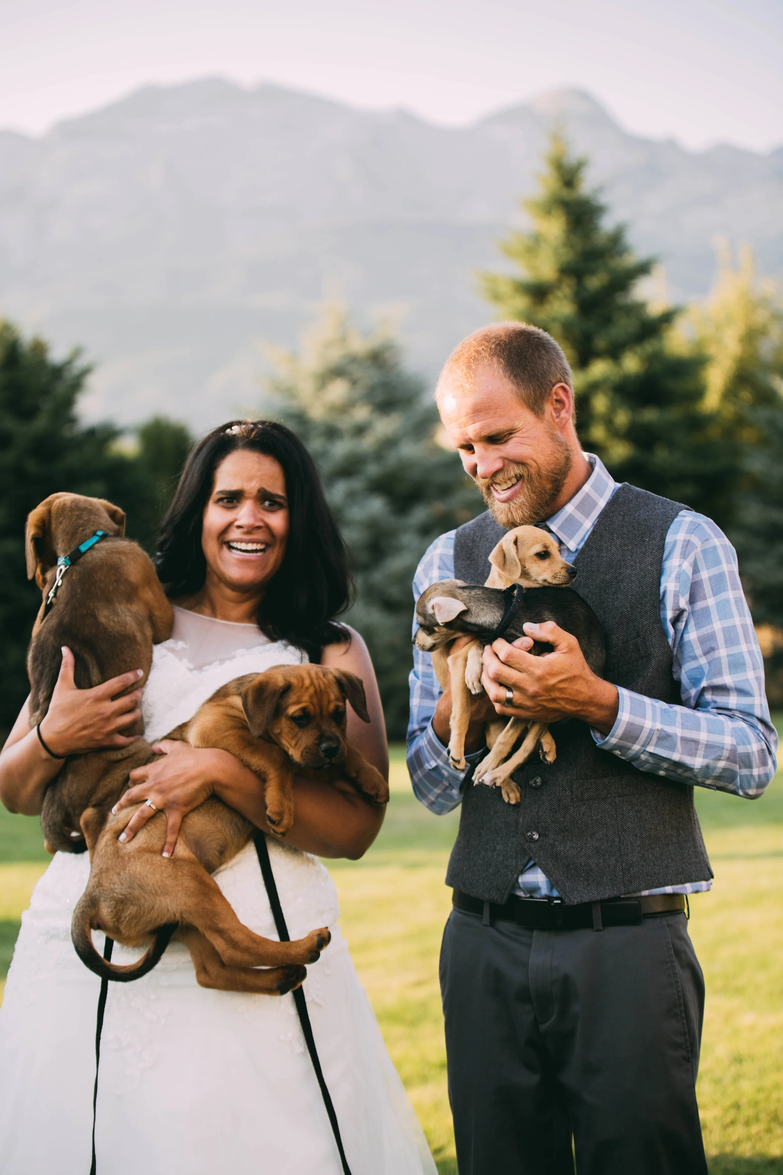 online quality-233.jpg