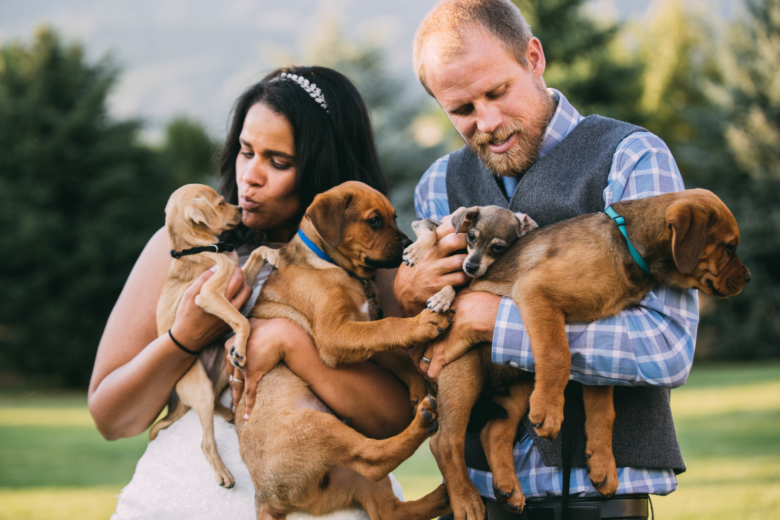 online quality-234.jpg