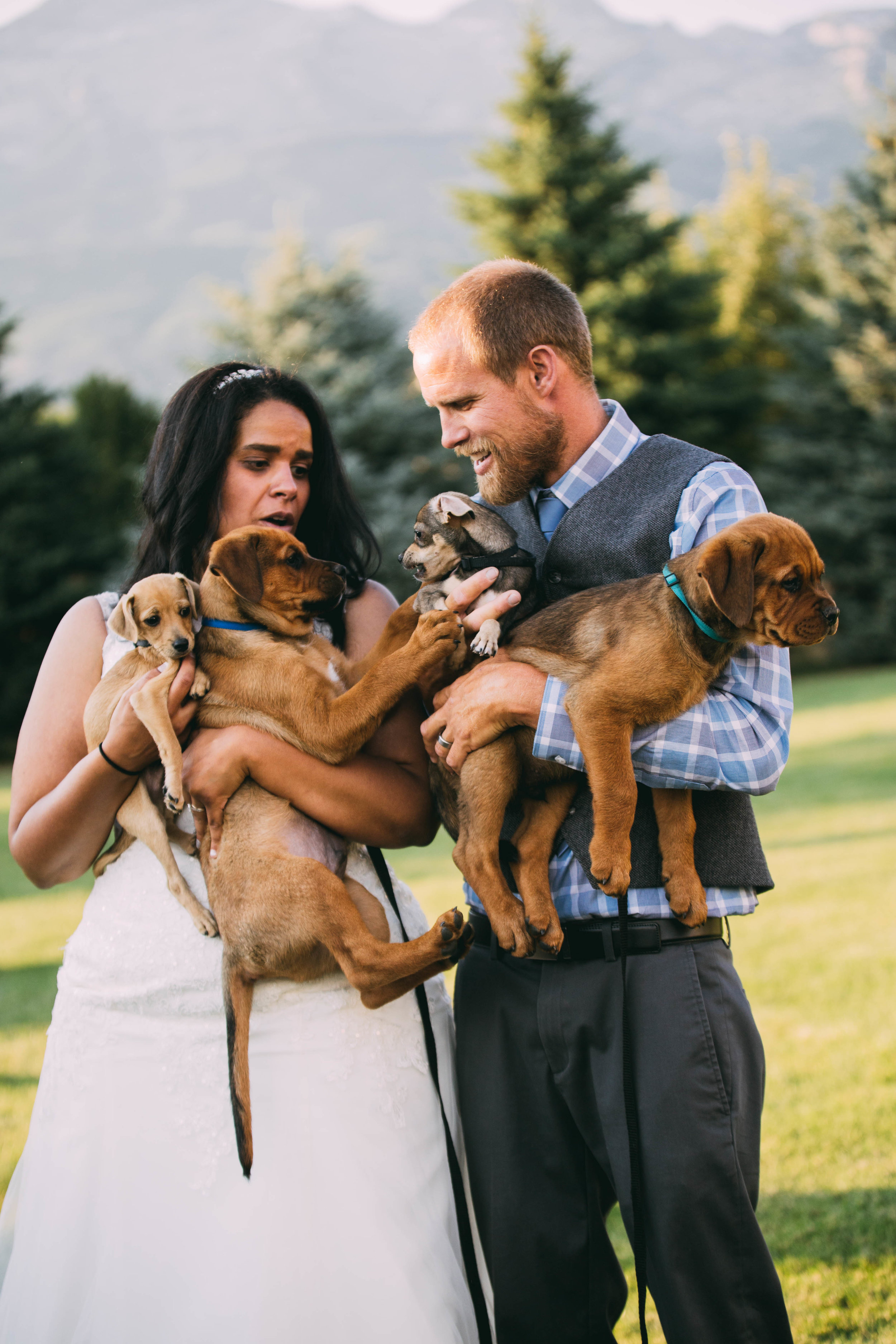 online quality-235.jpg