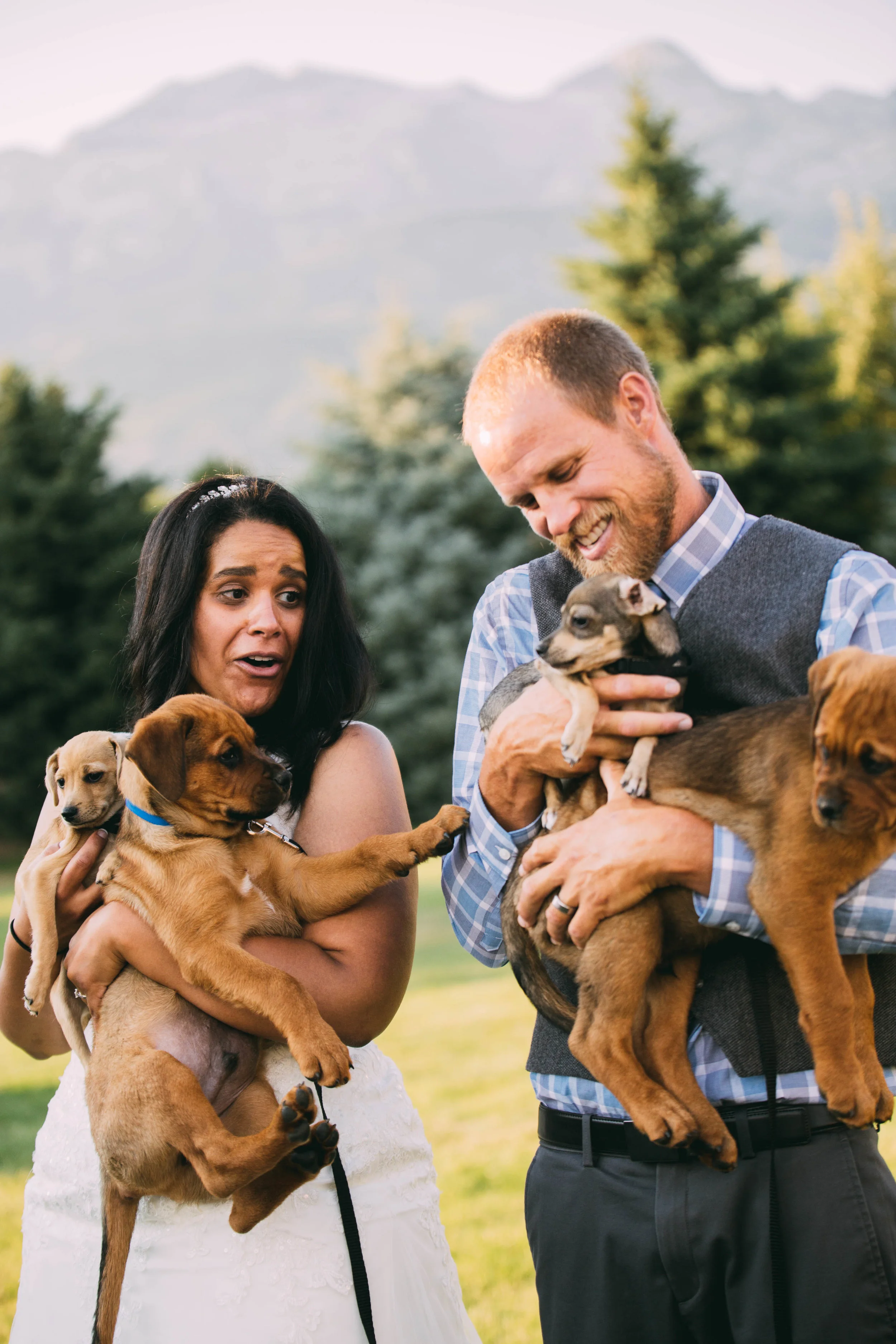 online quality-236.jpg