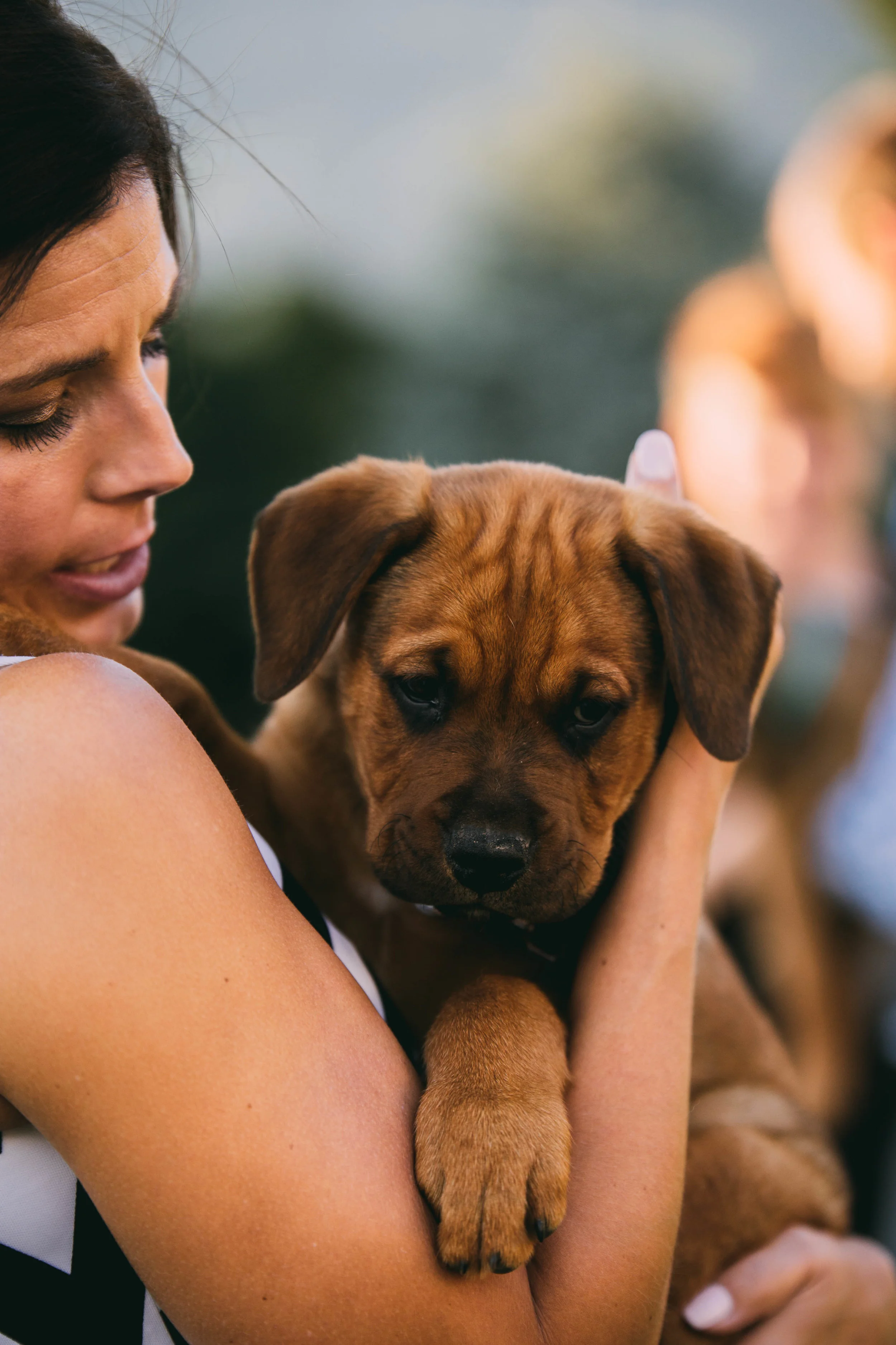 online quality-238.jpg