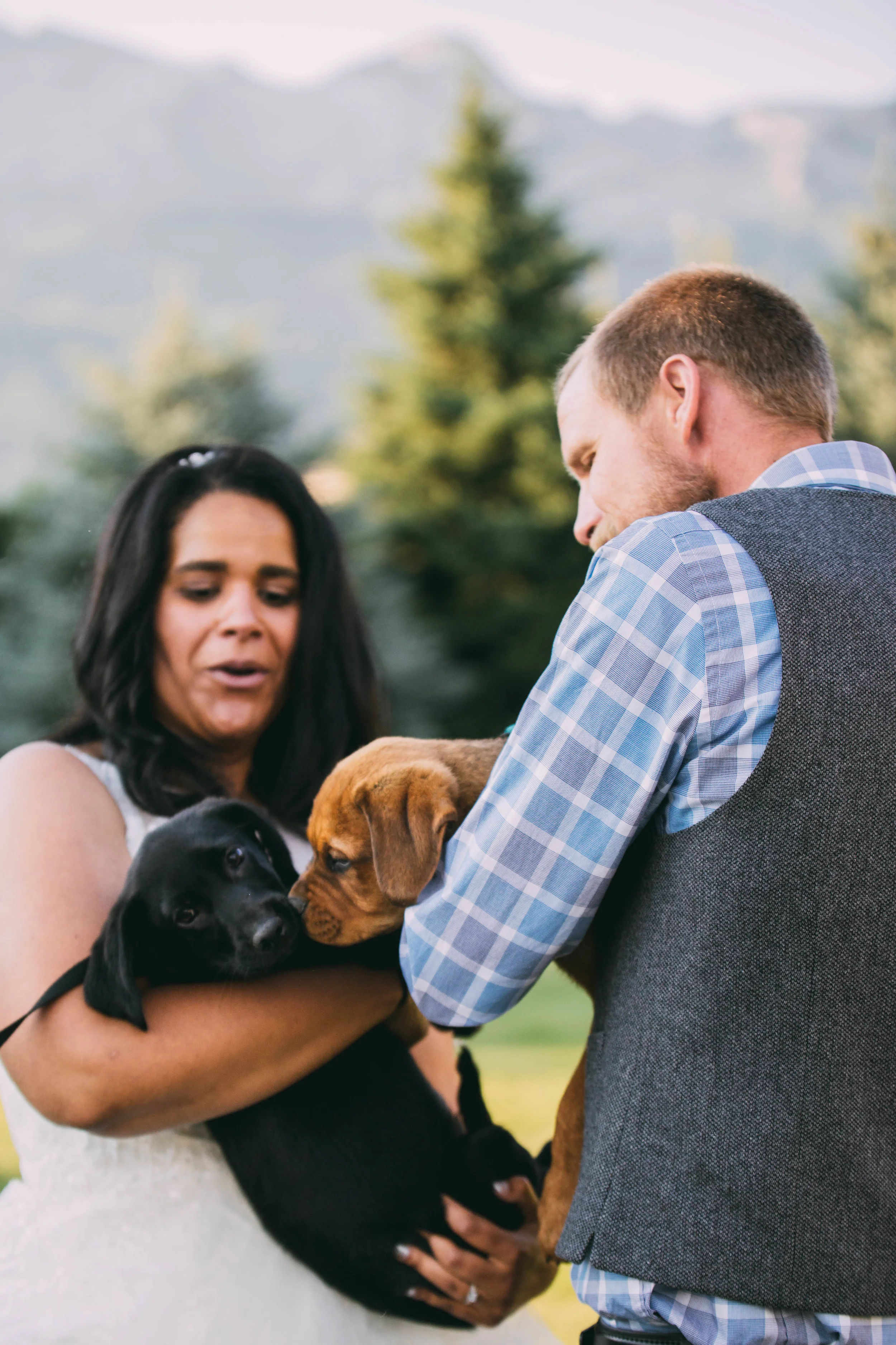 online quality-239.jpg