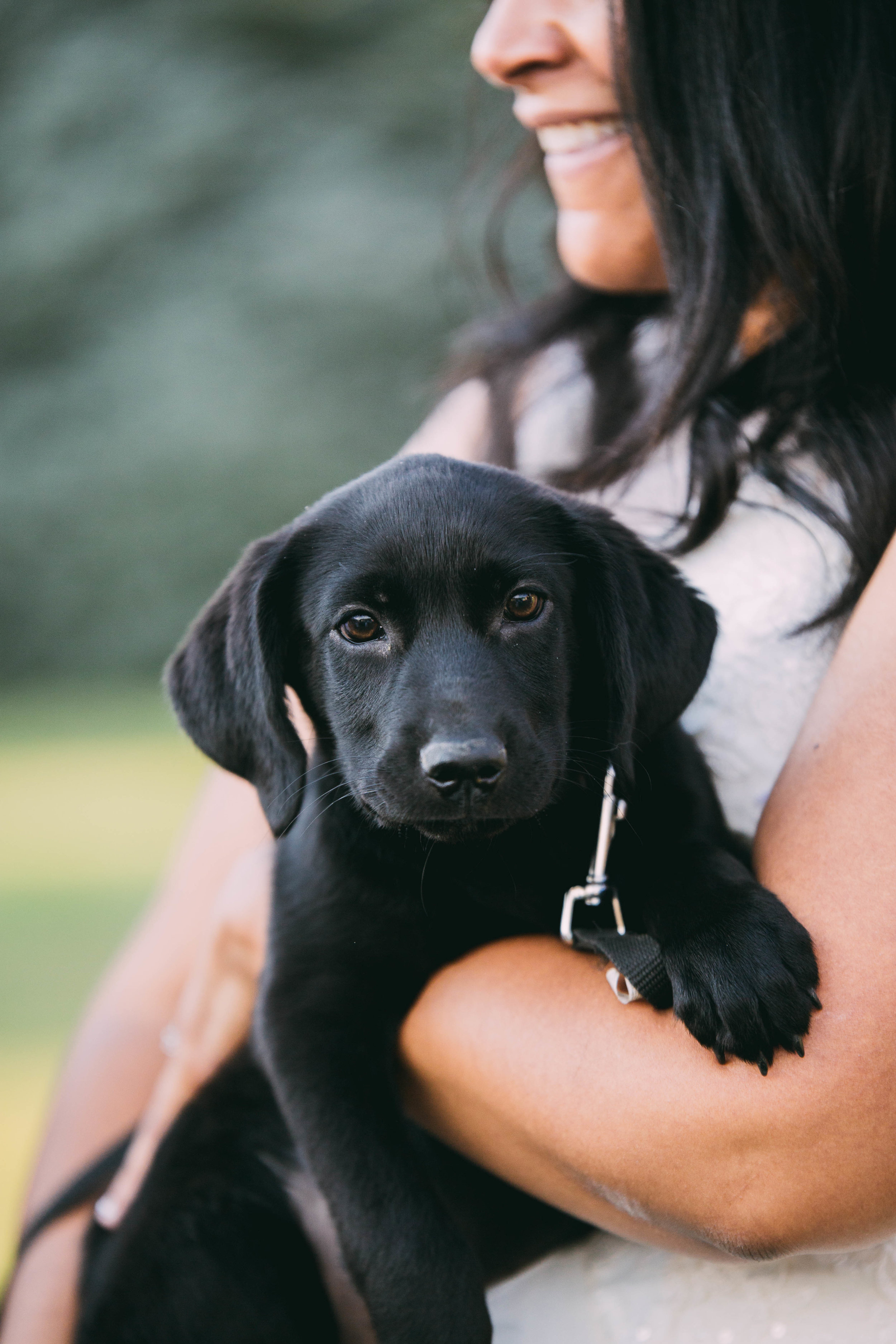 online quality-240.jpg