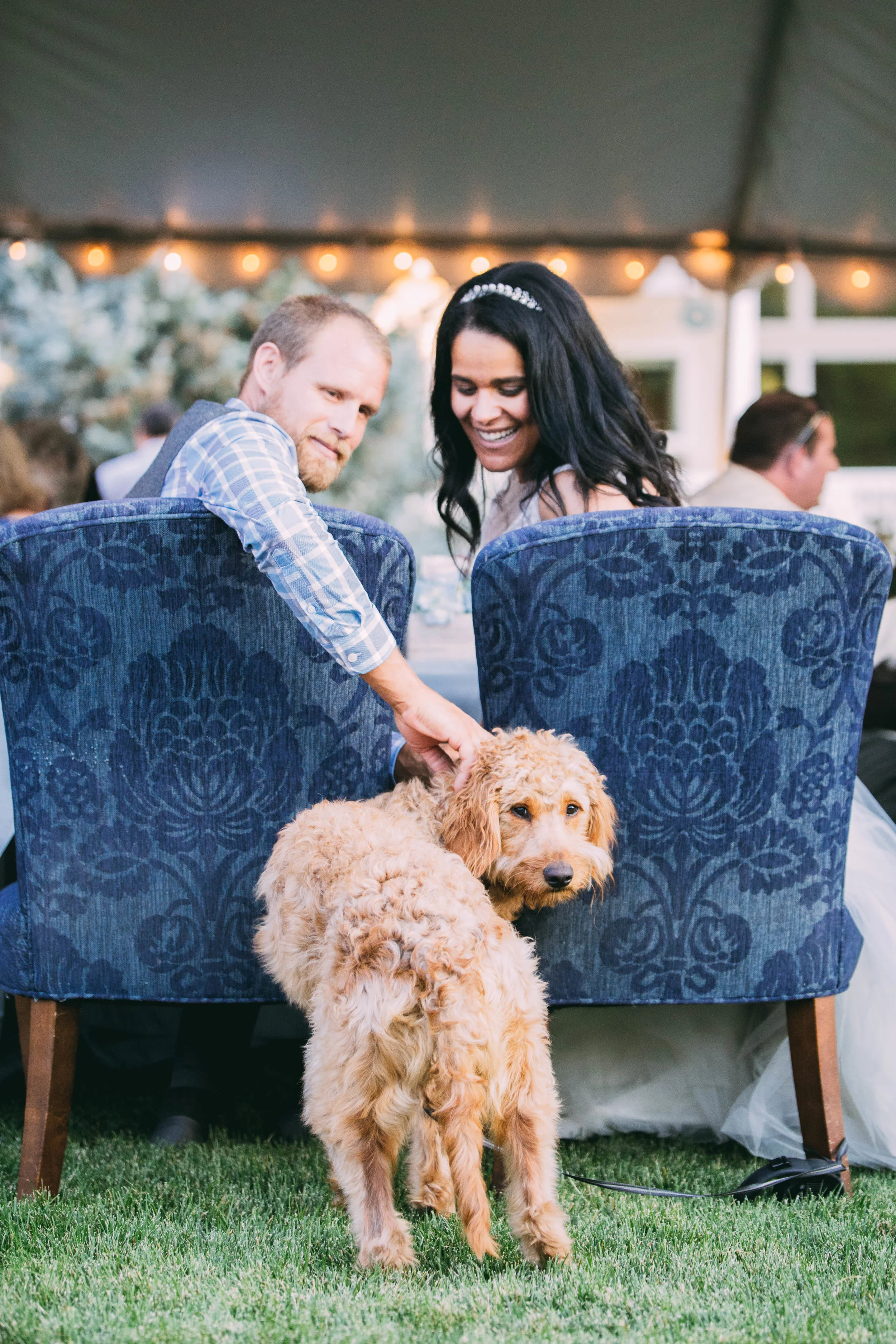 online quality-244.jpg