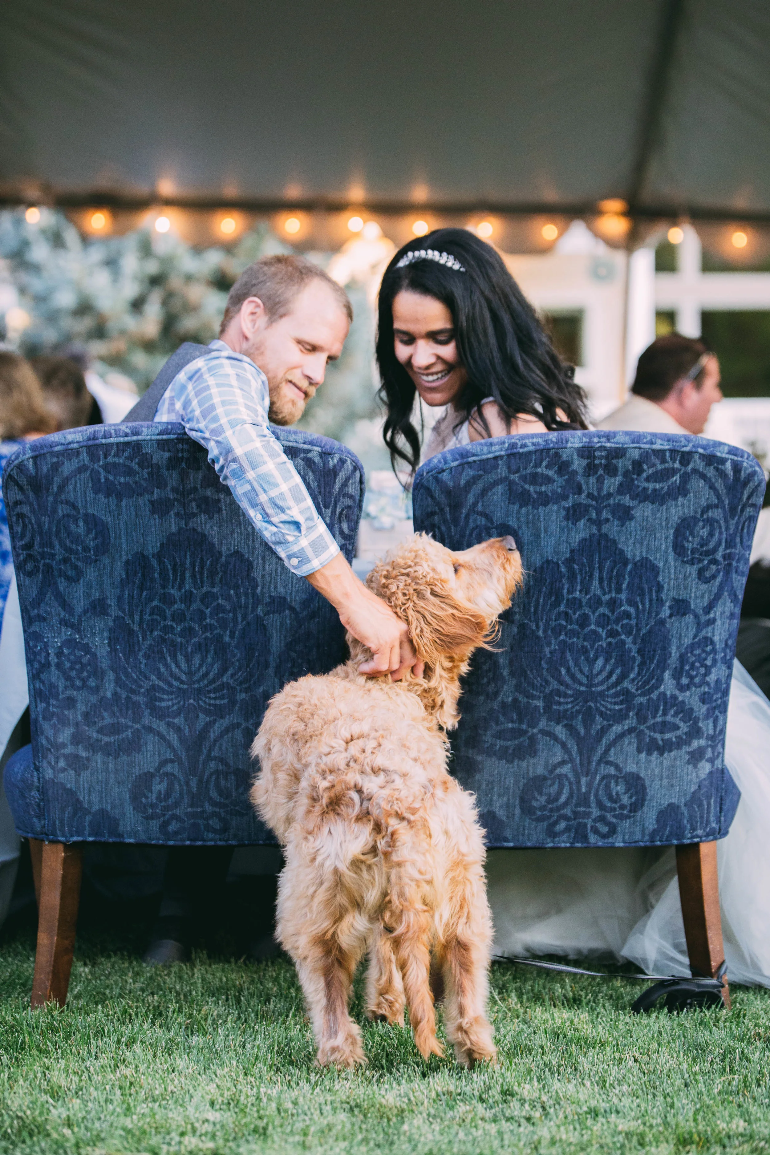 online quality-245.jpg