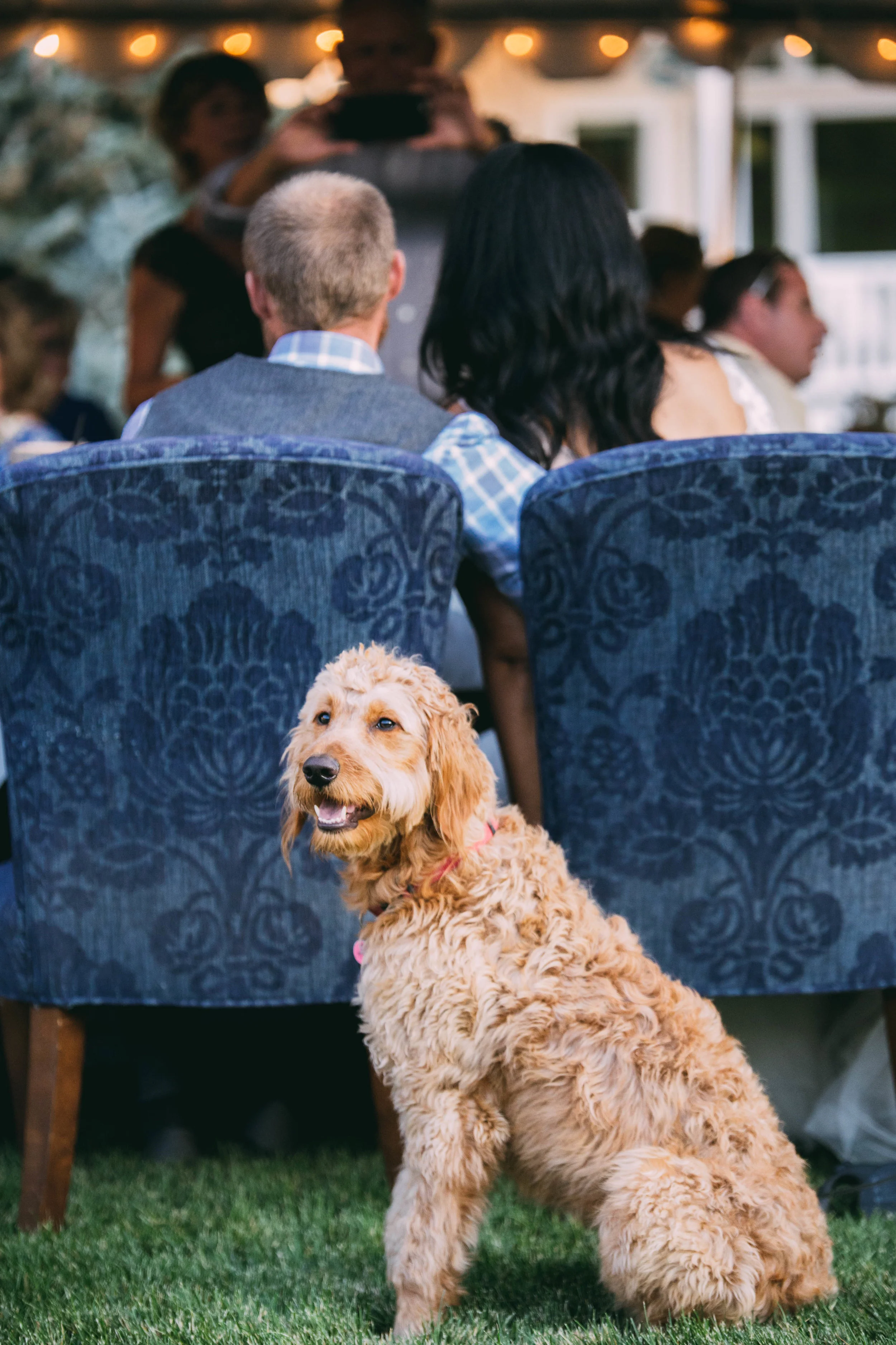 online quality-247.jpg