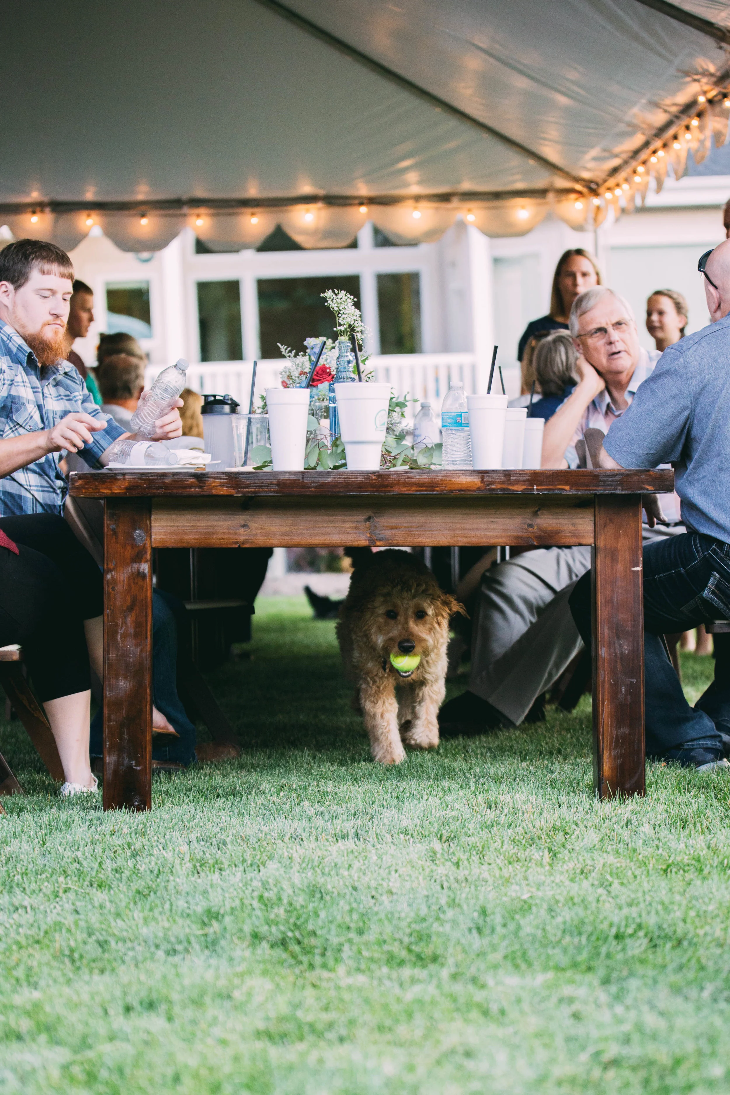 online quality-248.jpg